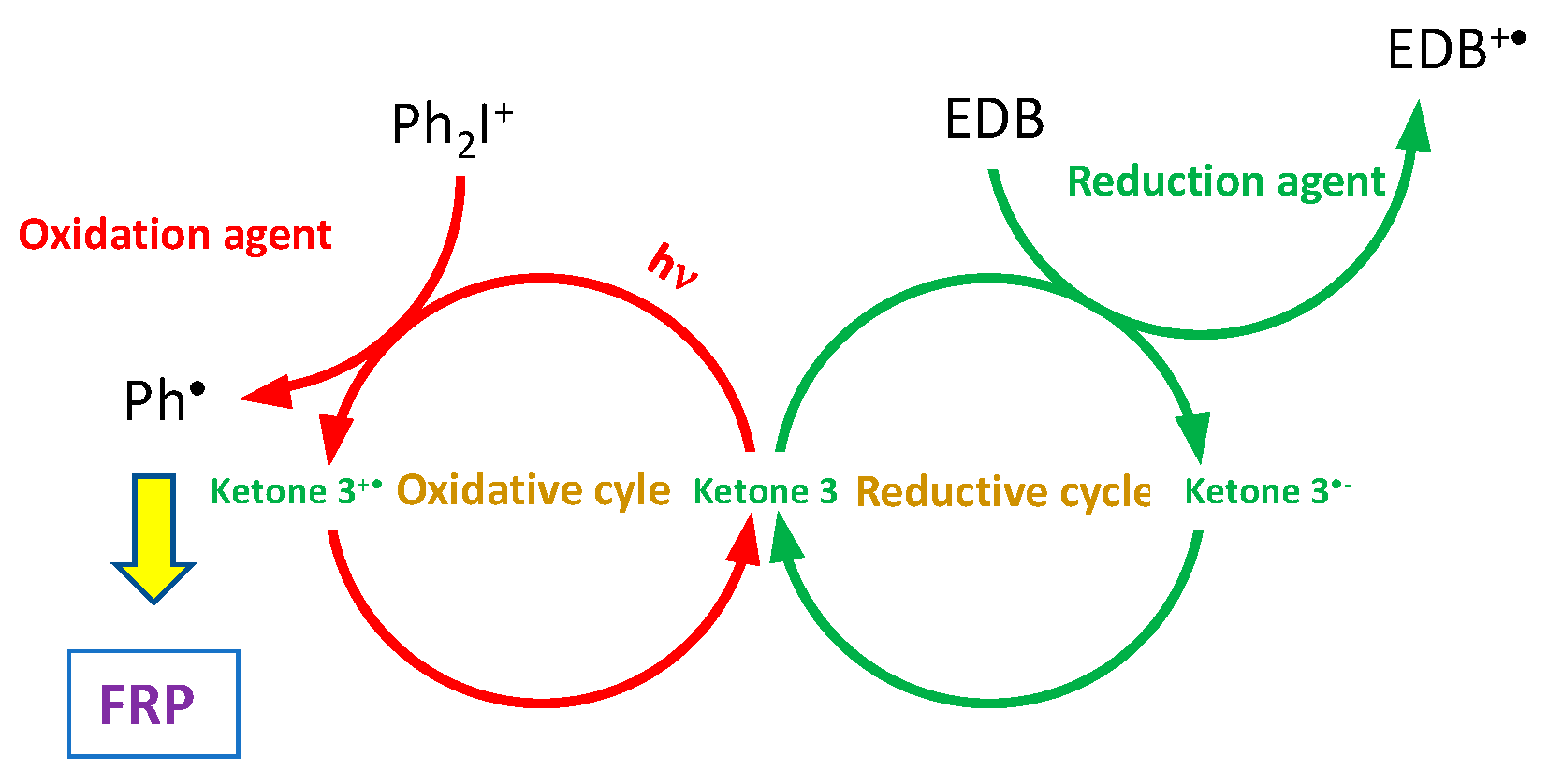 Catalysts 13 00493 g007