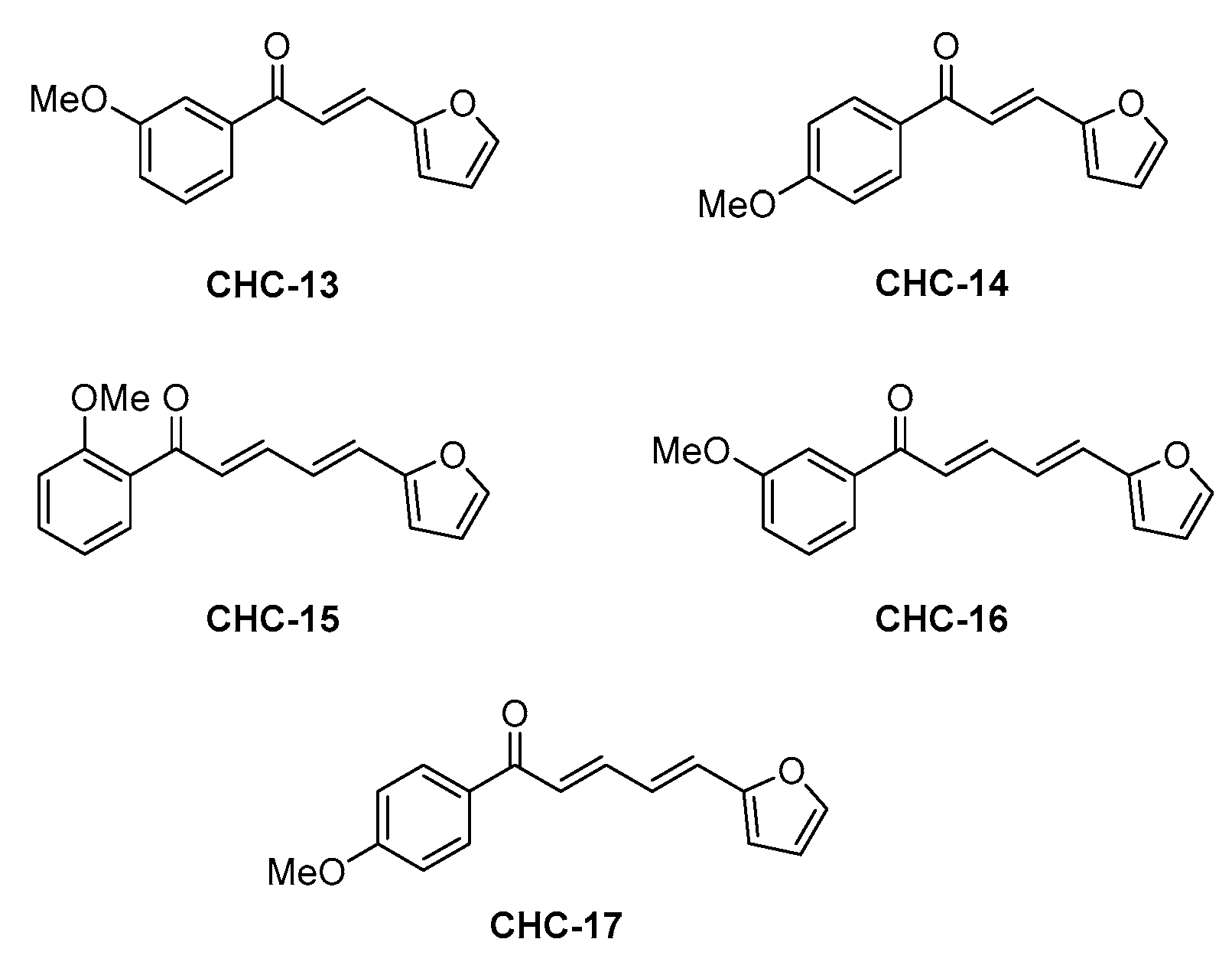 Catalysts 13 00493 g013