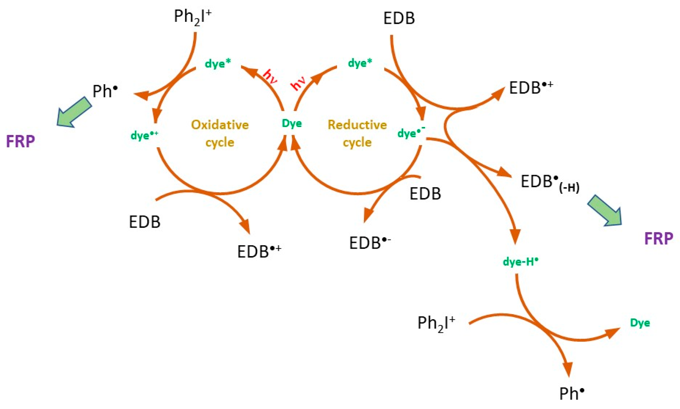 Catalysts 13 00493 g014