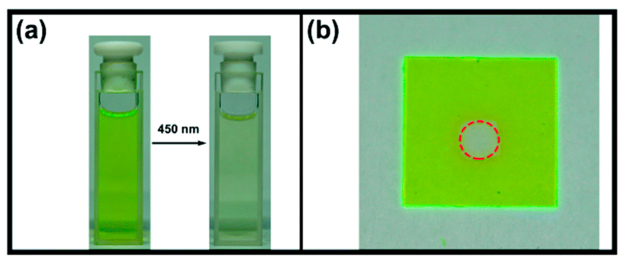 Catalysts 13 00493 g023