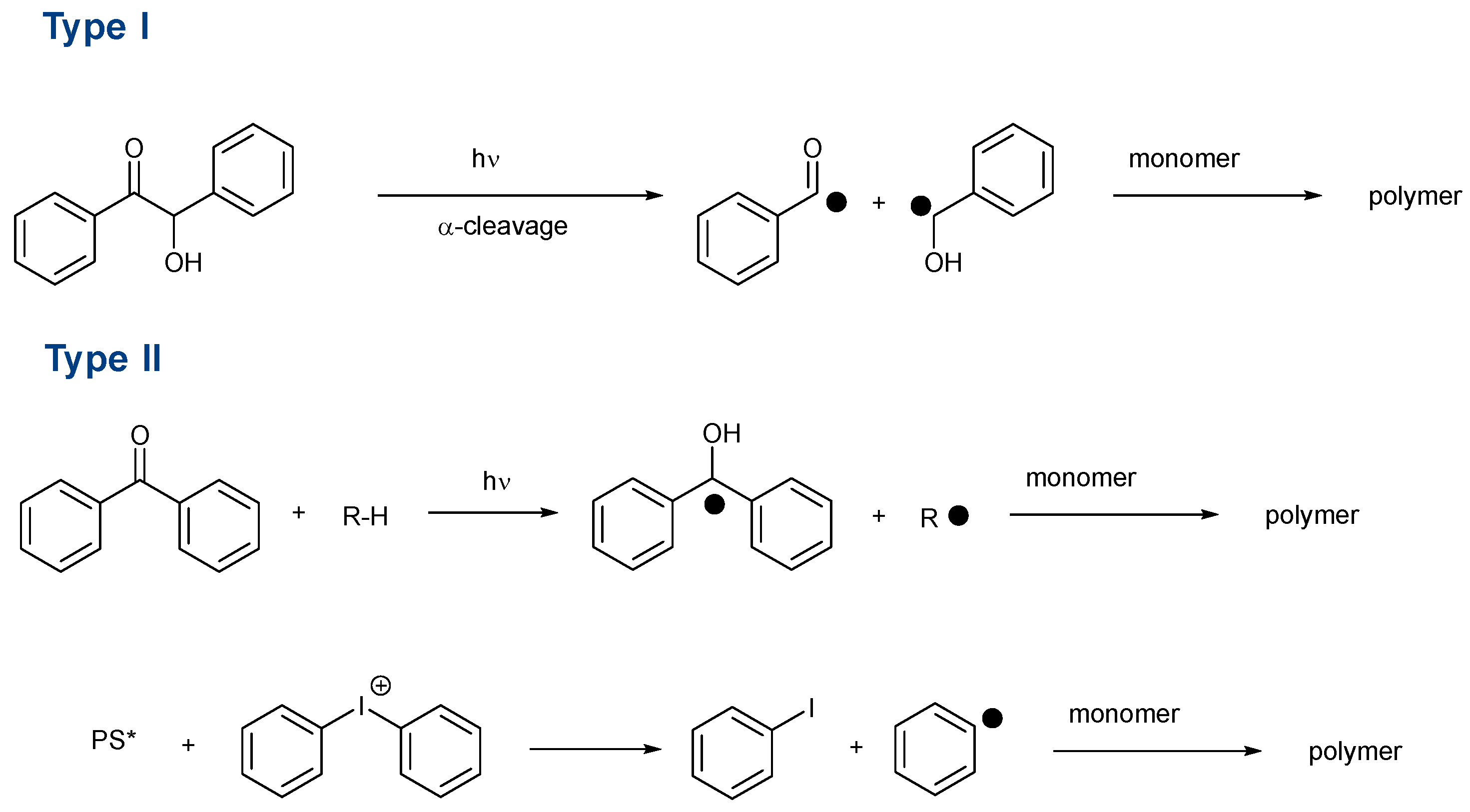 Catalysts 13 00493 sch001