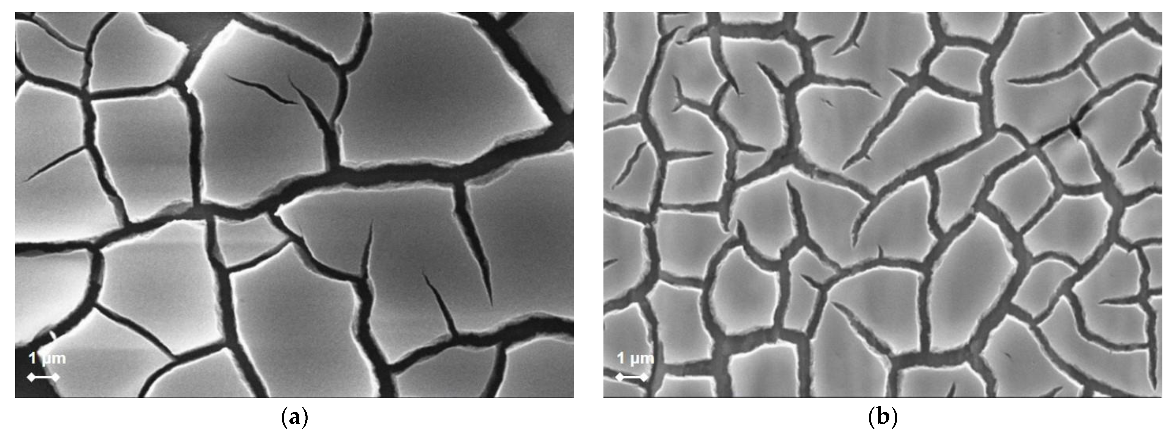 Catalysts 13 00494 g001a