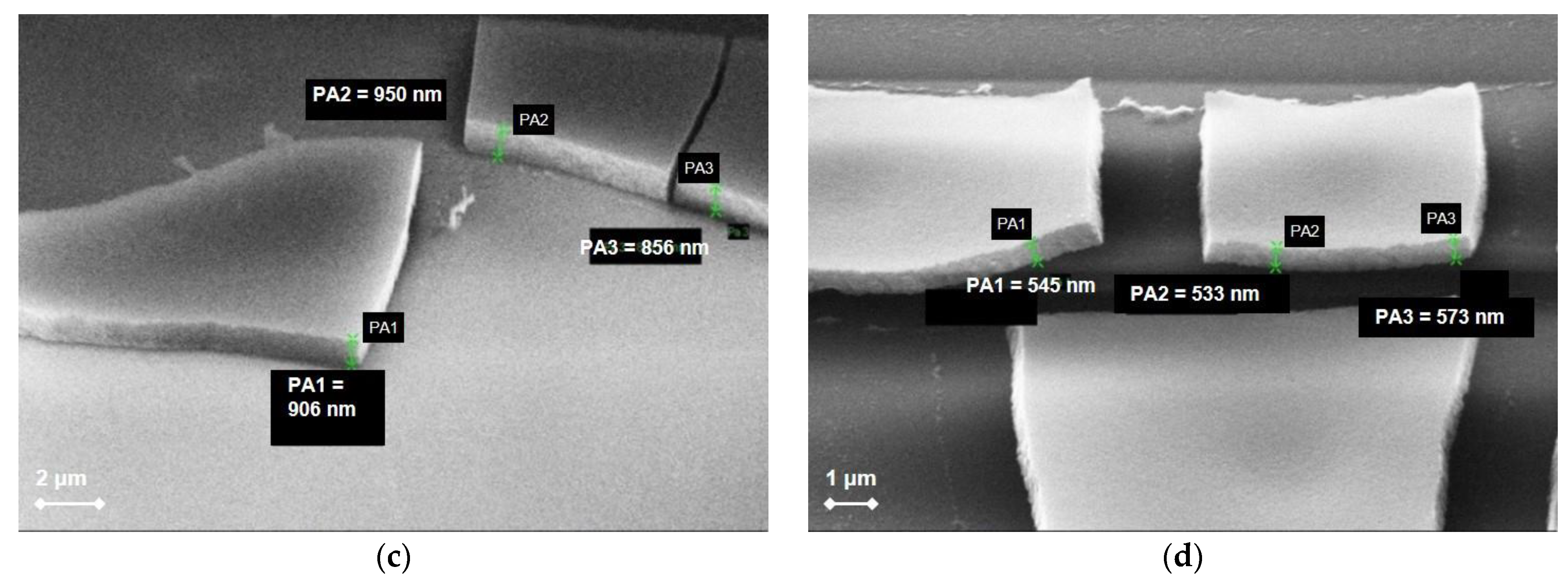 Catalysts 13 00494 g001b