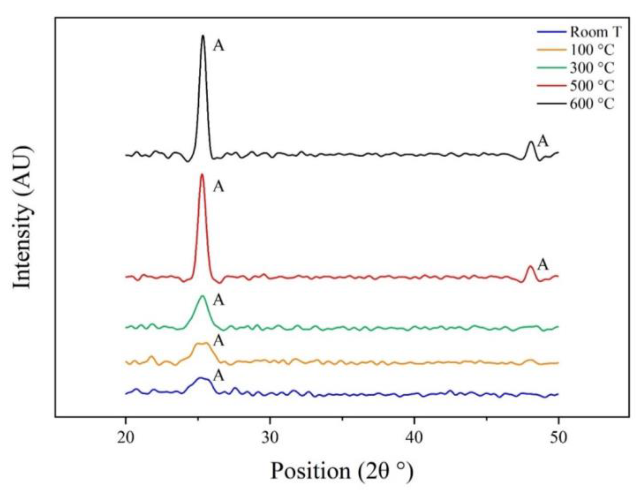 Catalysts 13 00494 g002