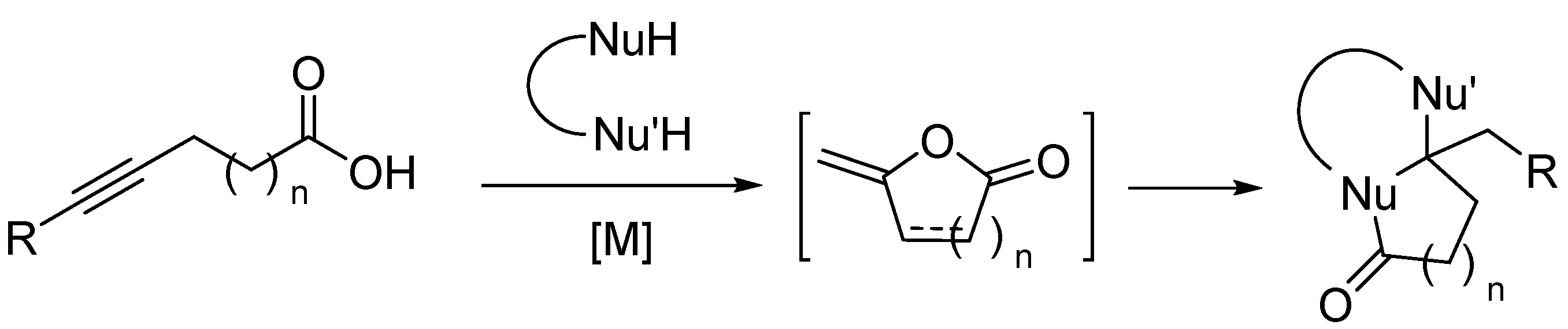 Catalysts 13 00495 sch001