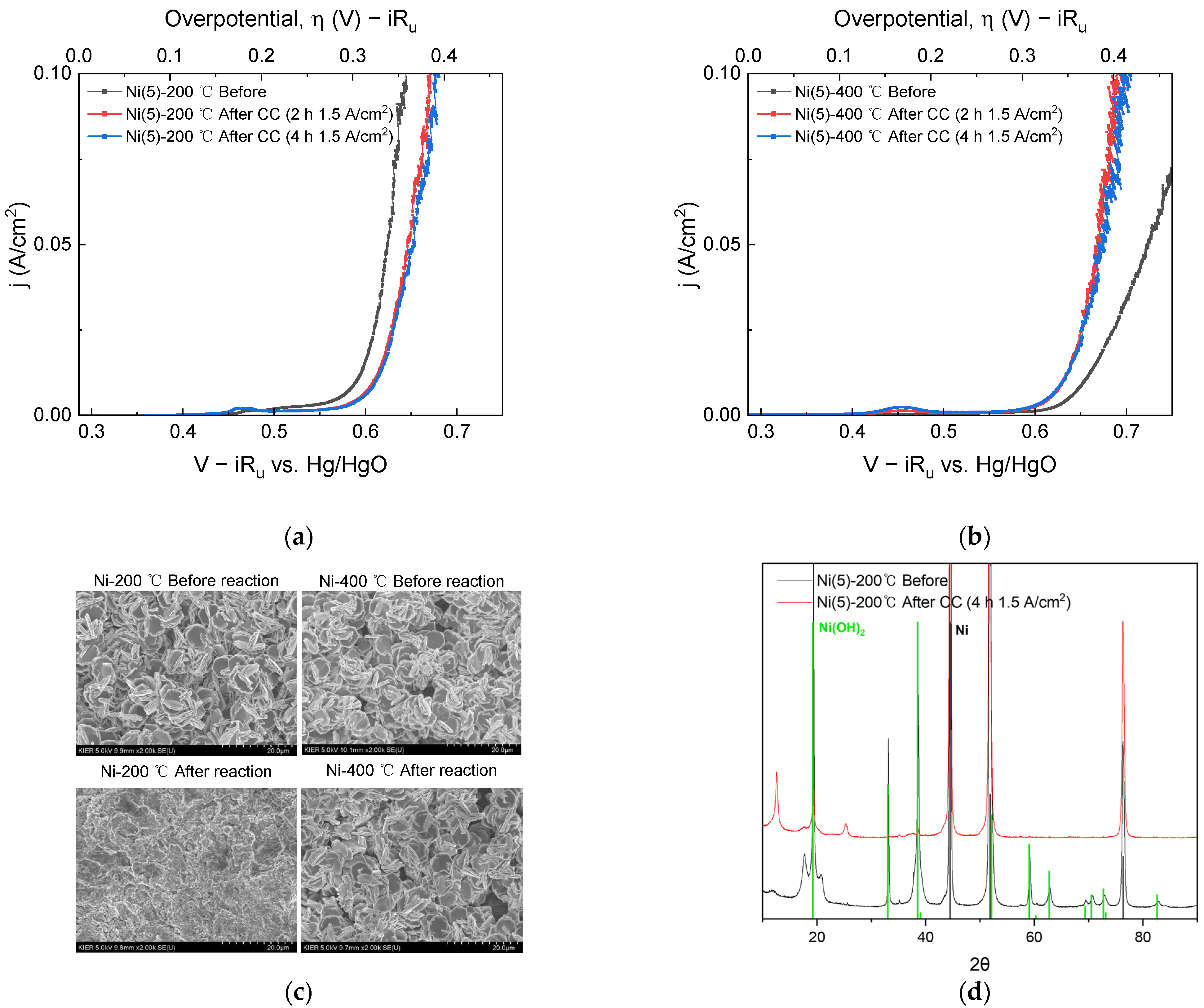 Catalysts 13 00496 g002