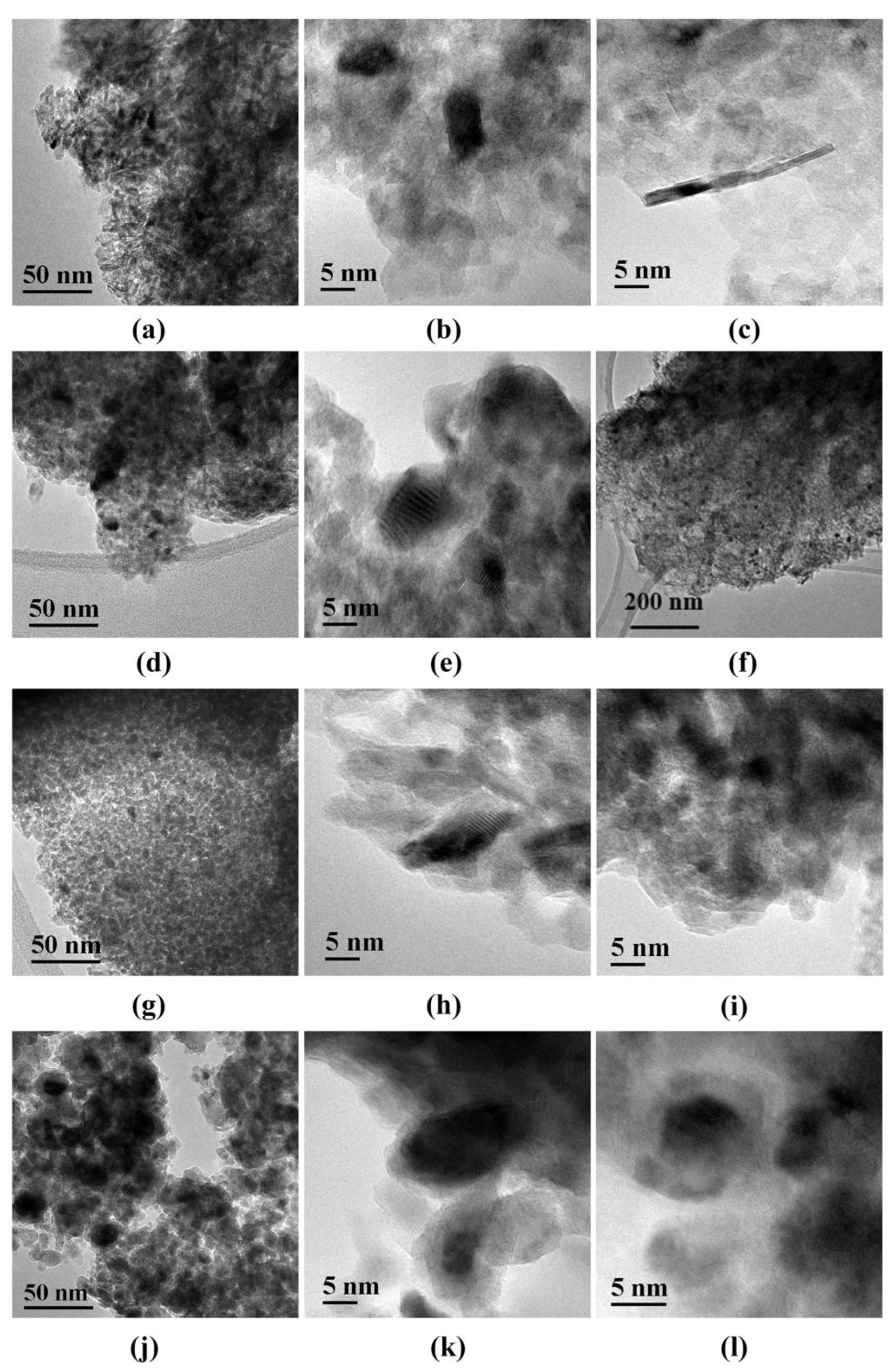 Catalysts 13 00497 g004