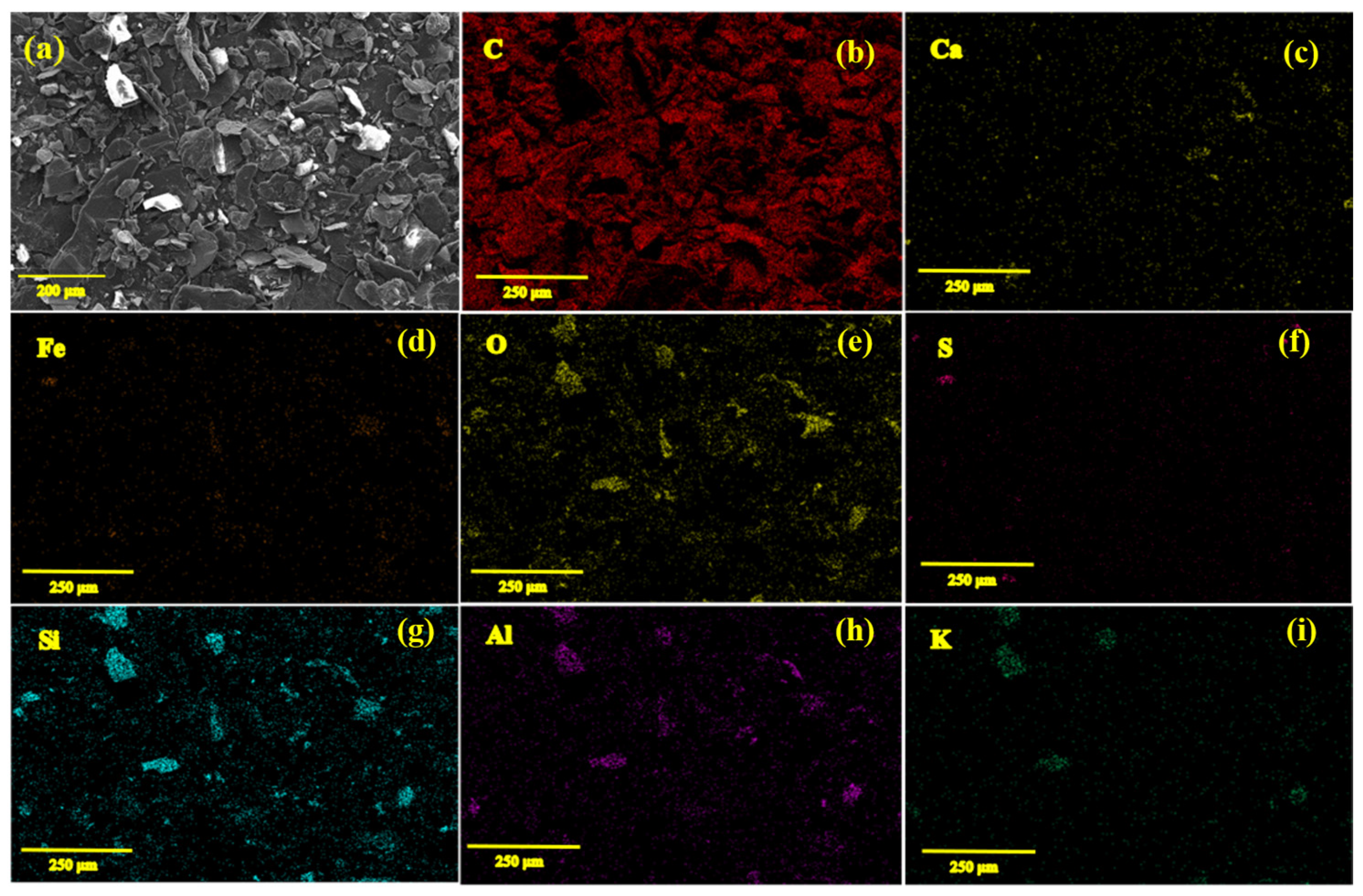 Catalysts 13 00499 g002