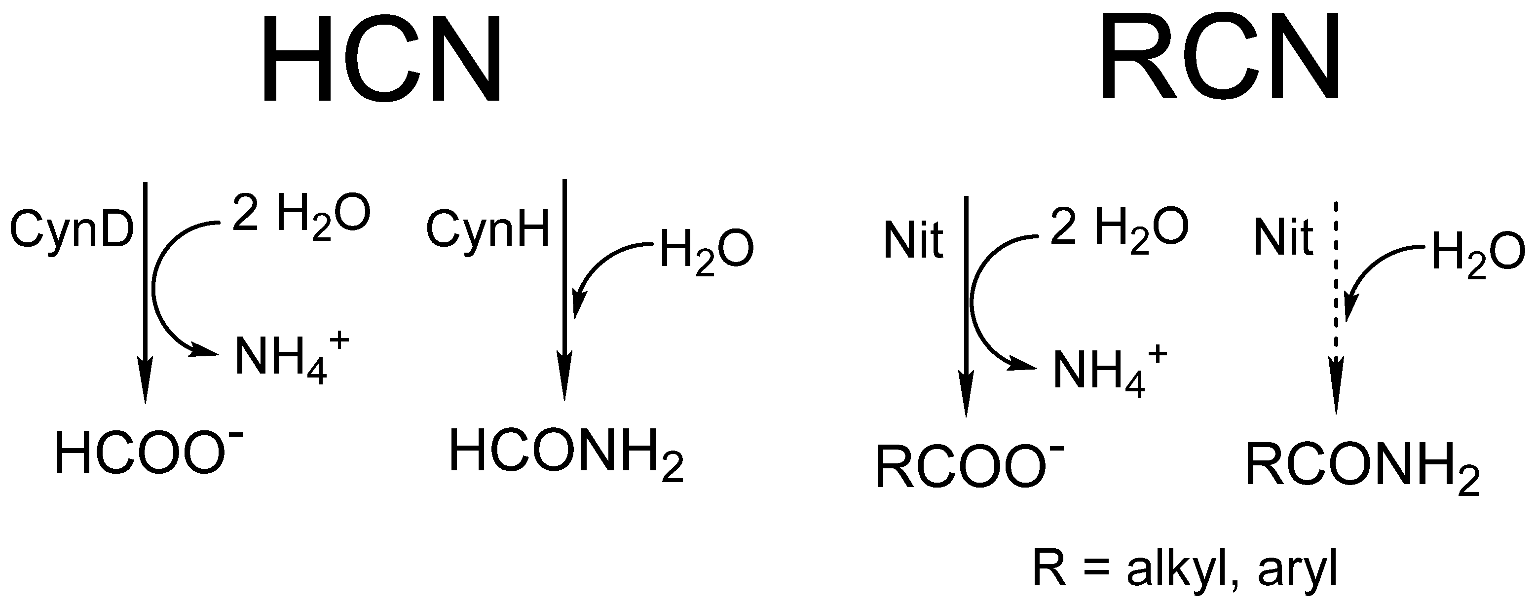 Catalysts 13 00500 g001