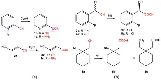 Catalysts 13 00500 g002