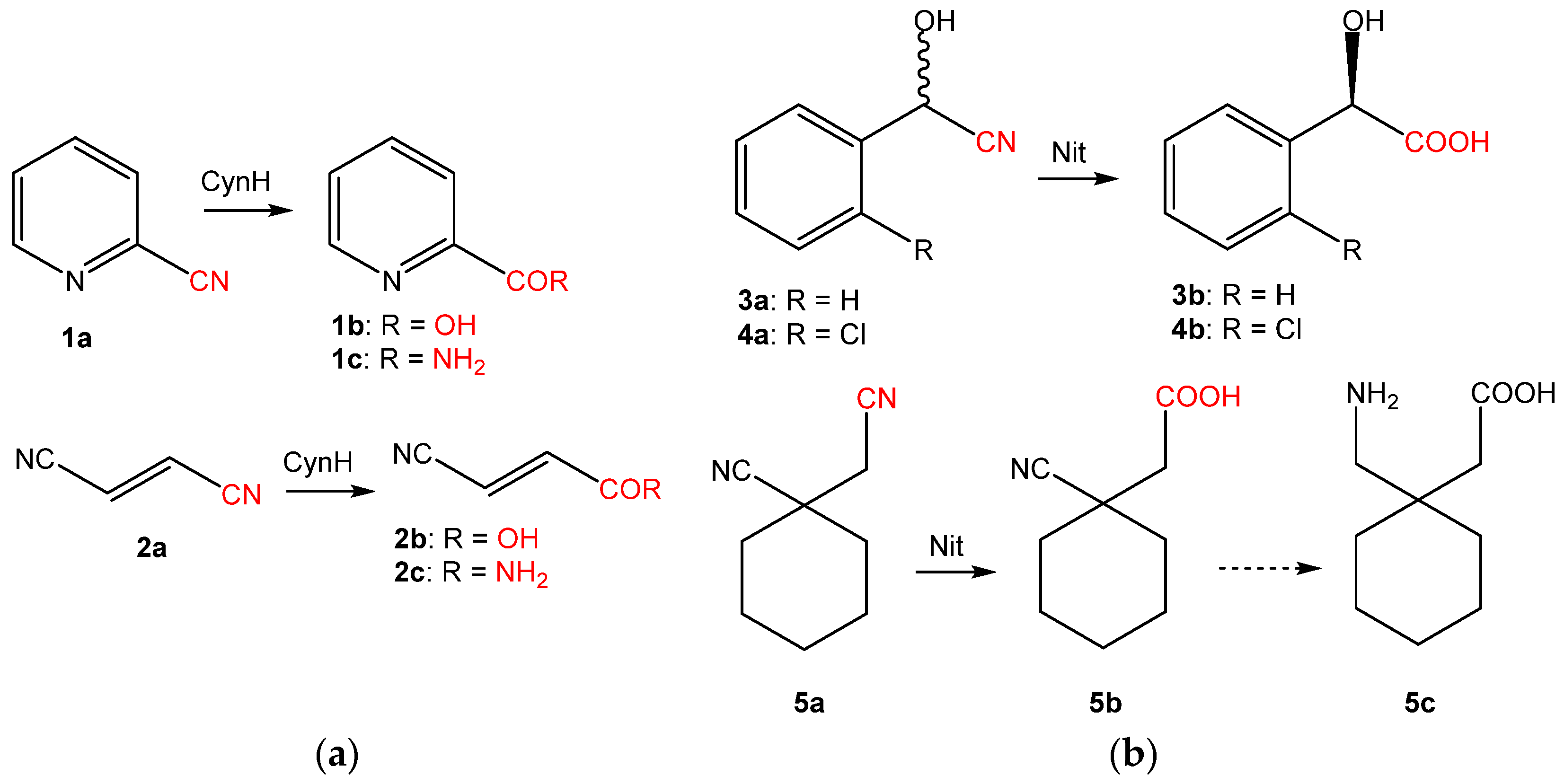 Catalysts 13 00500 g002