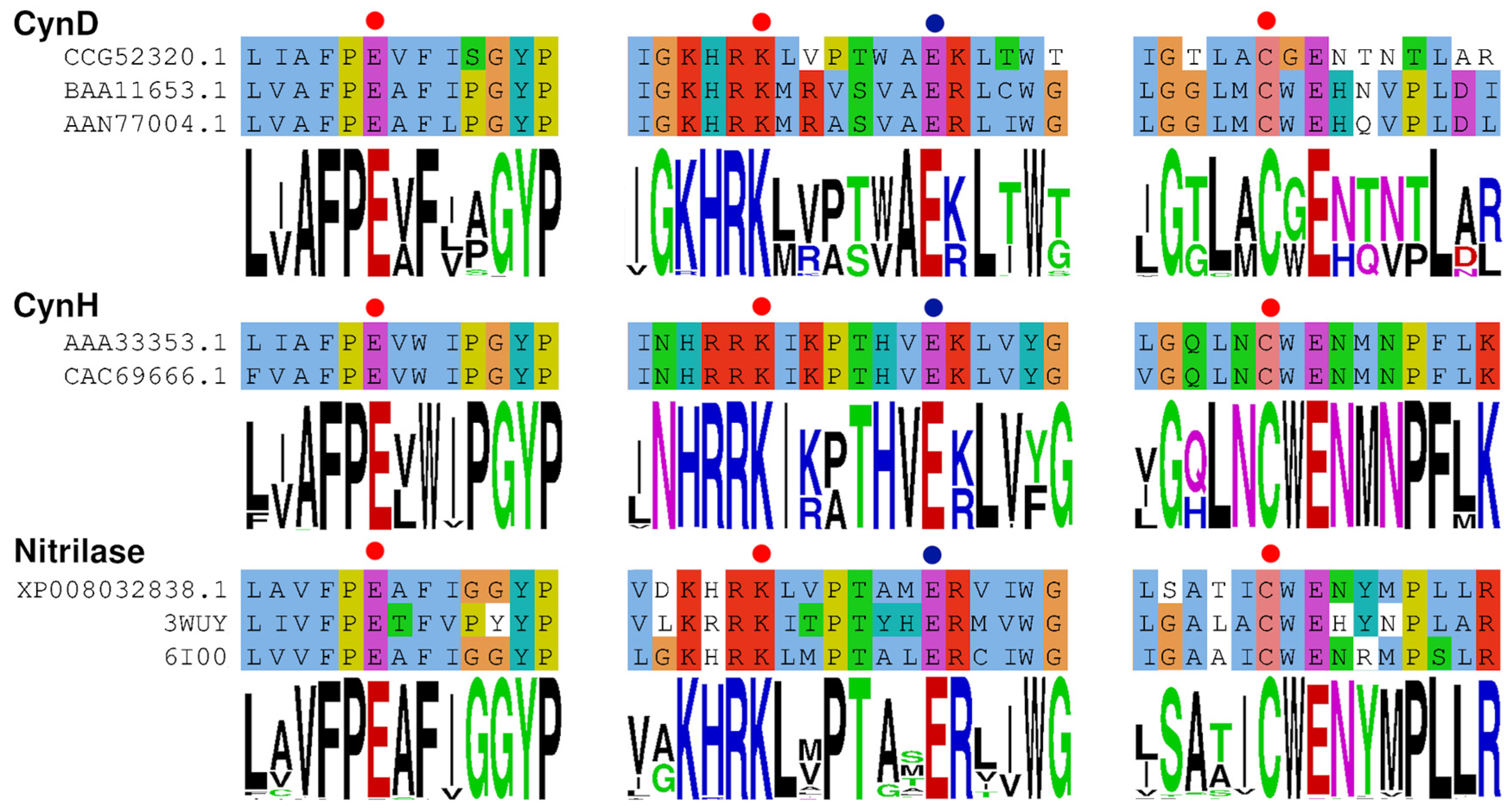 Catalysts 13 00500 g003