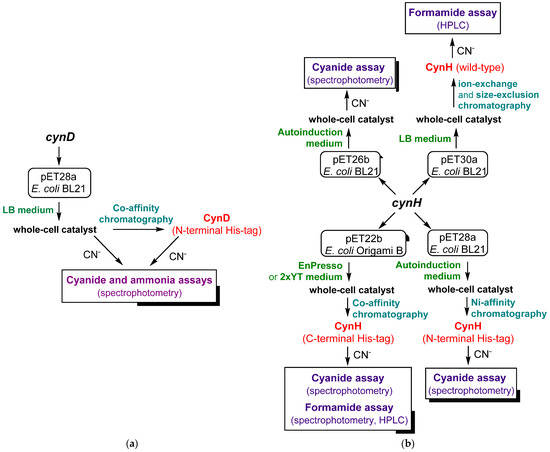 Catalysts 13 00500 g004