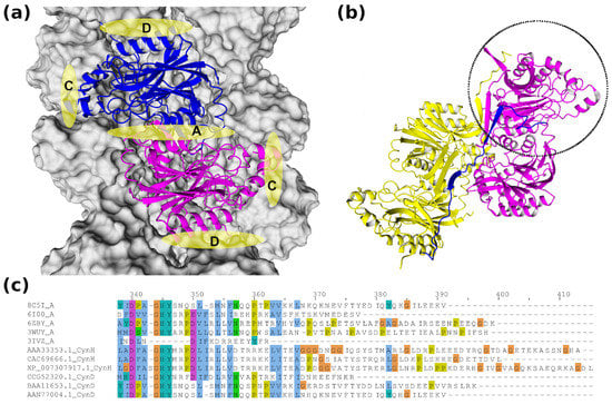 Catalysts 13 00500 g005