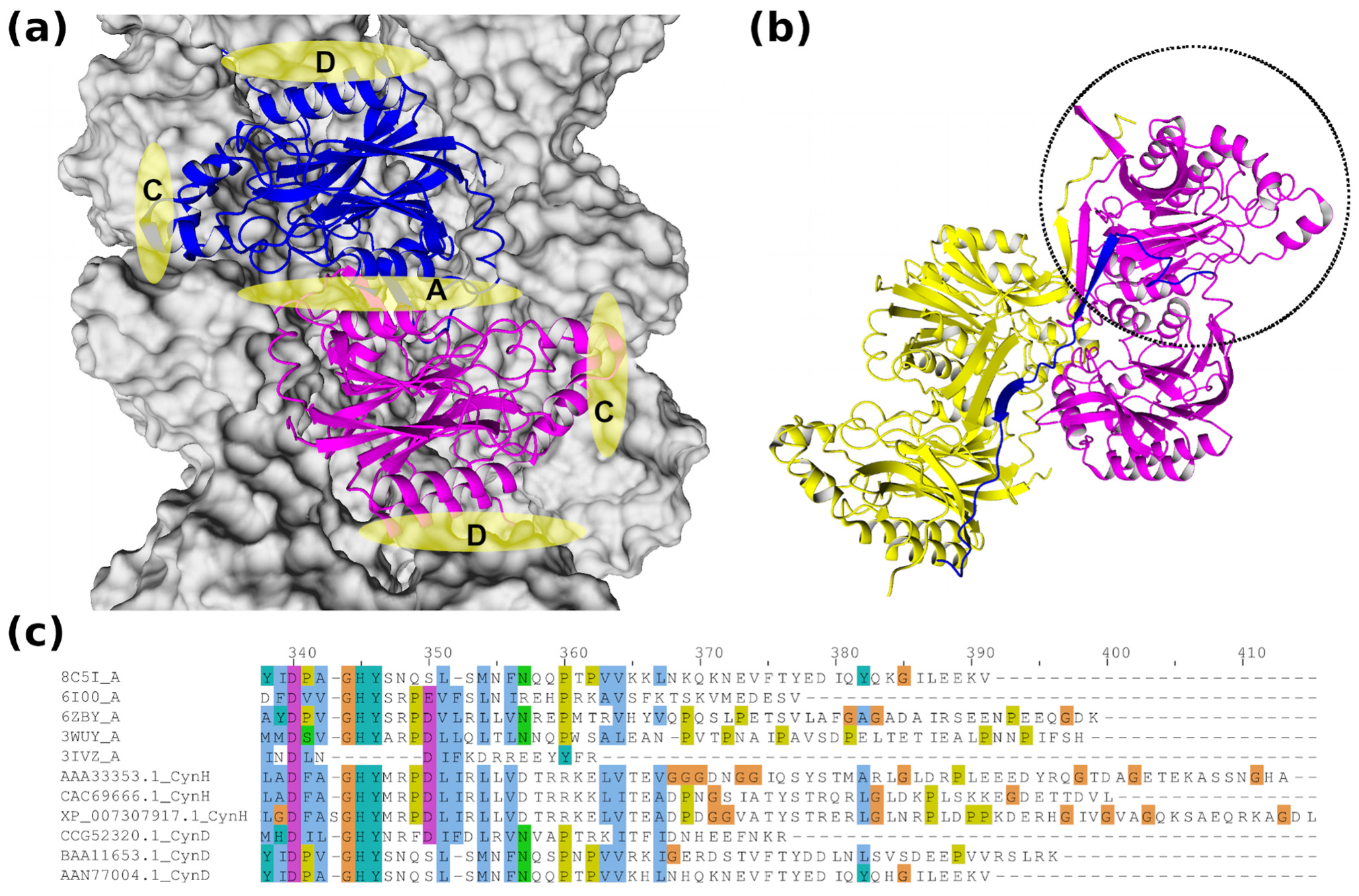Catalysts 13 00500 g005