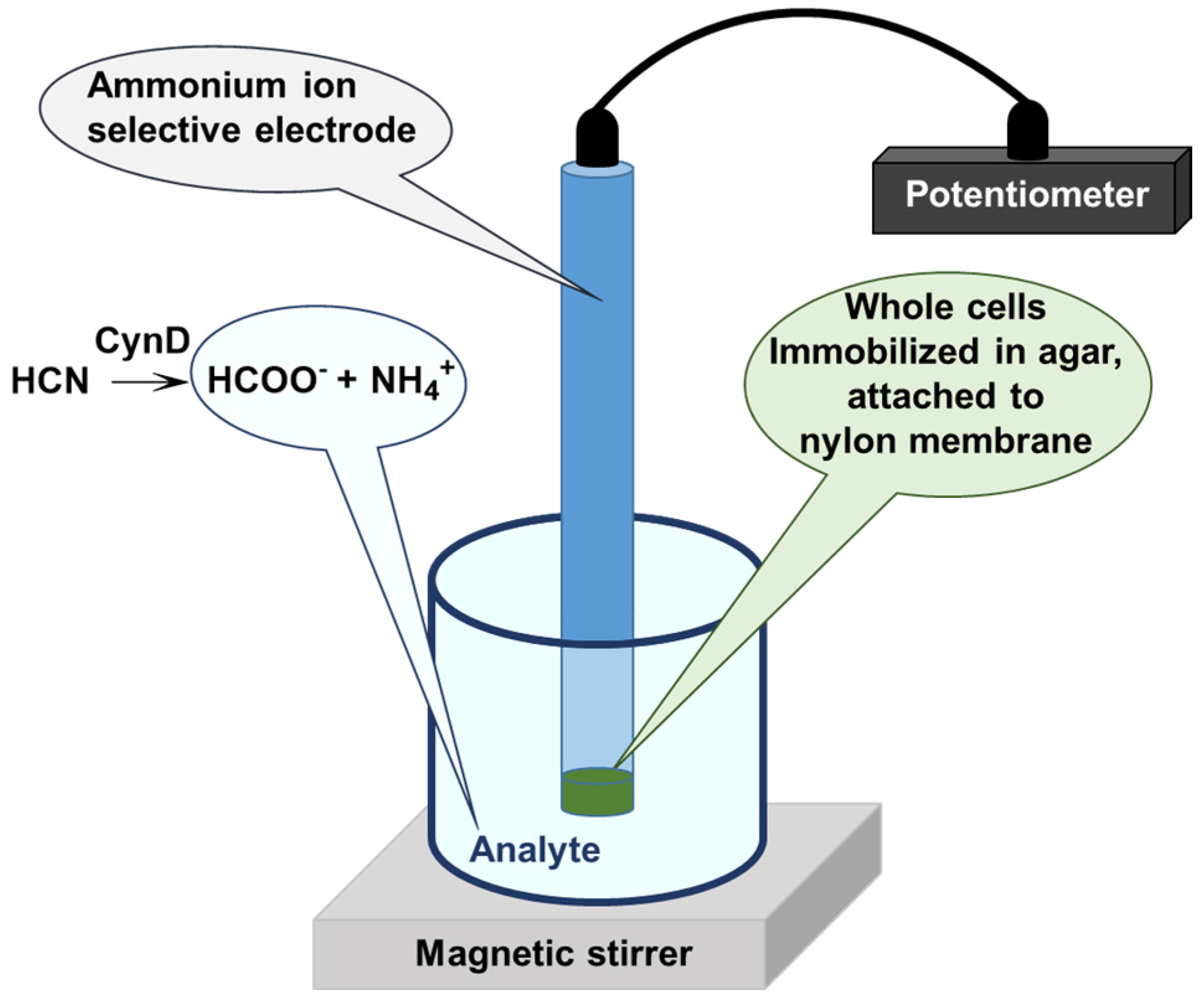 Catalysts 13 00500 g009