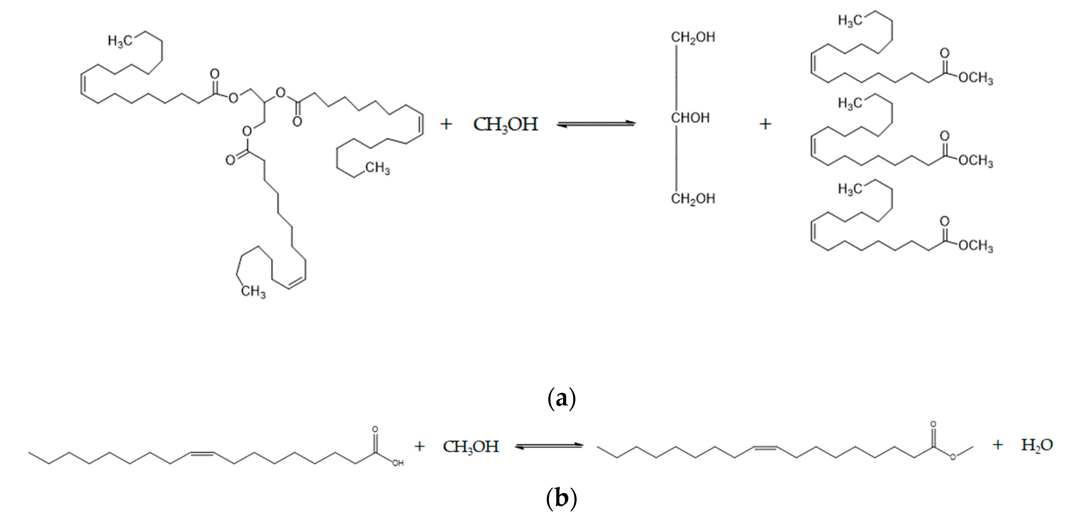 Catalysts 13 00503 g001