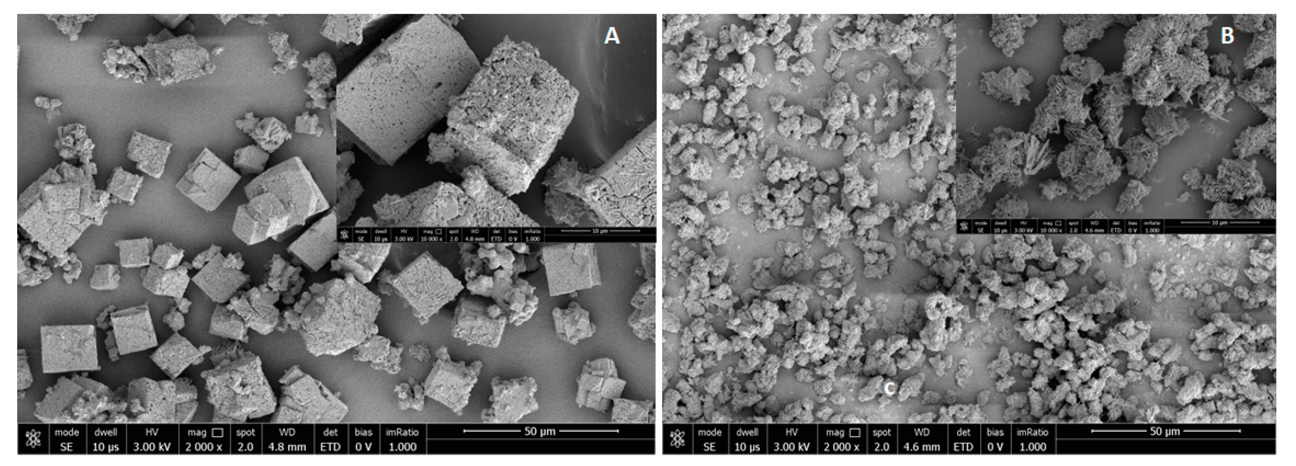 Catalysts 13 00503 g003