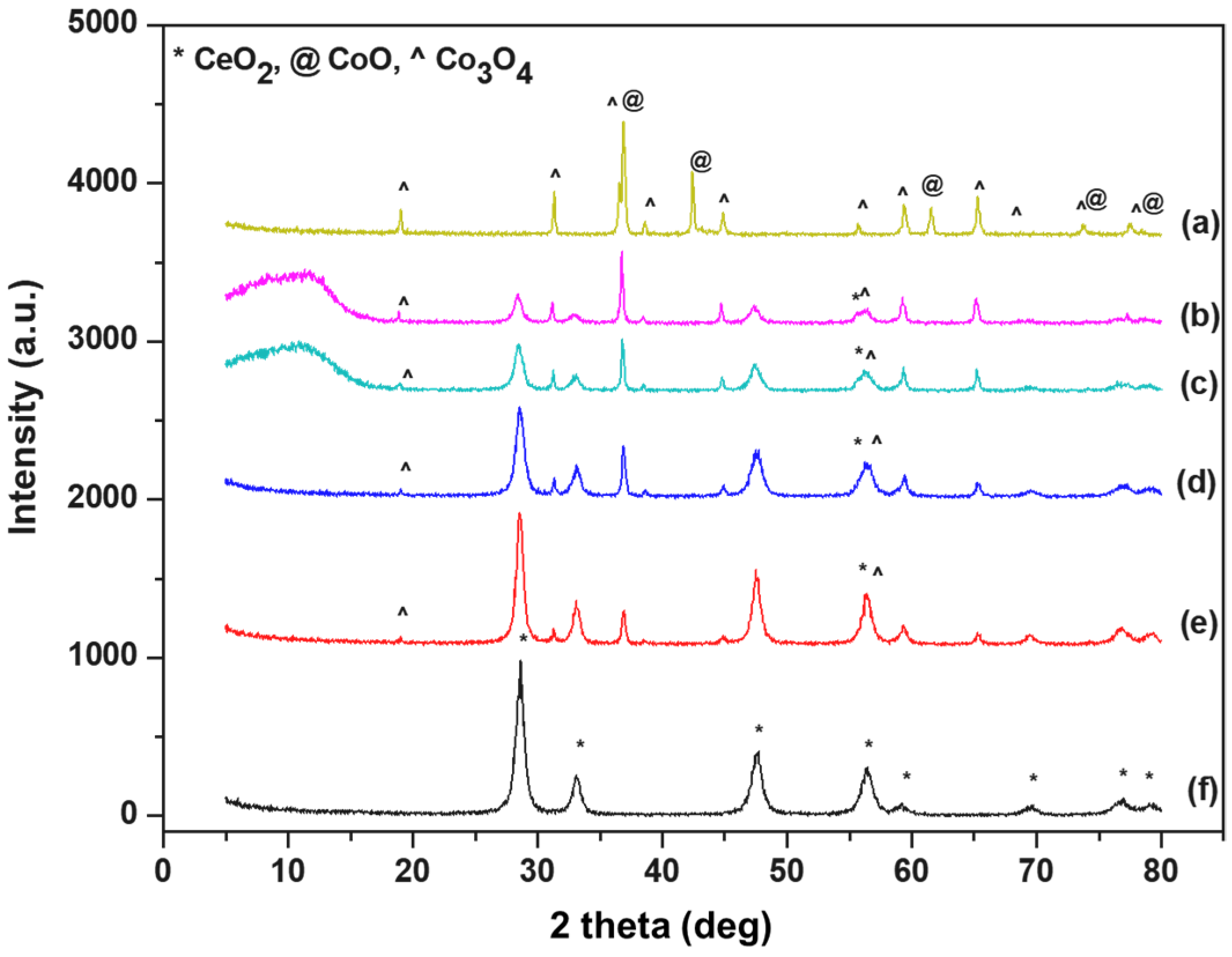 Catalysts 13 00504 g001