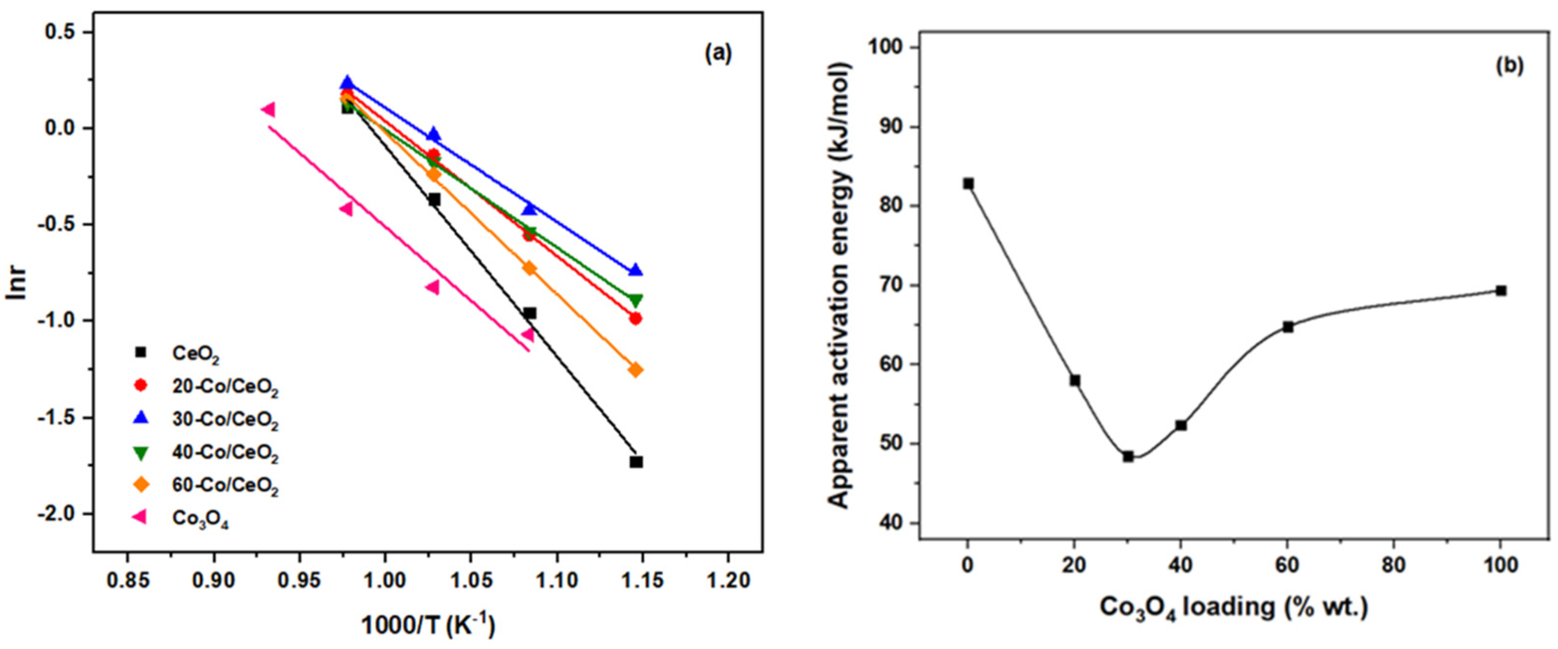 Catalysts 13 00504 g006