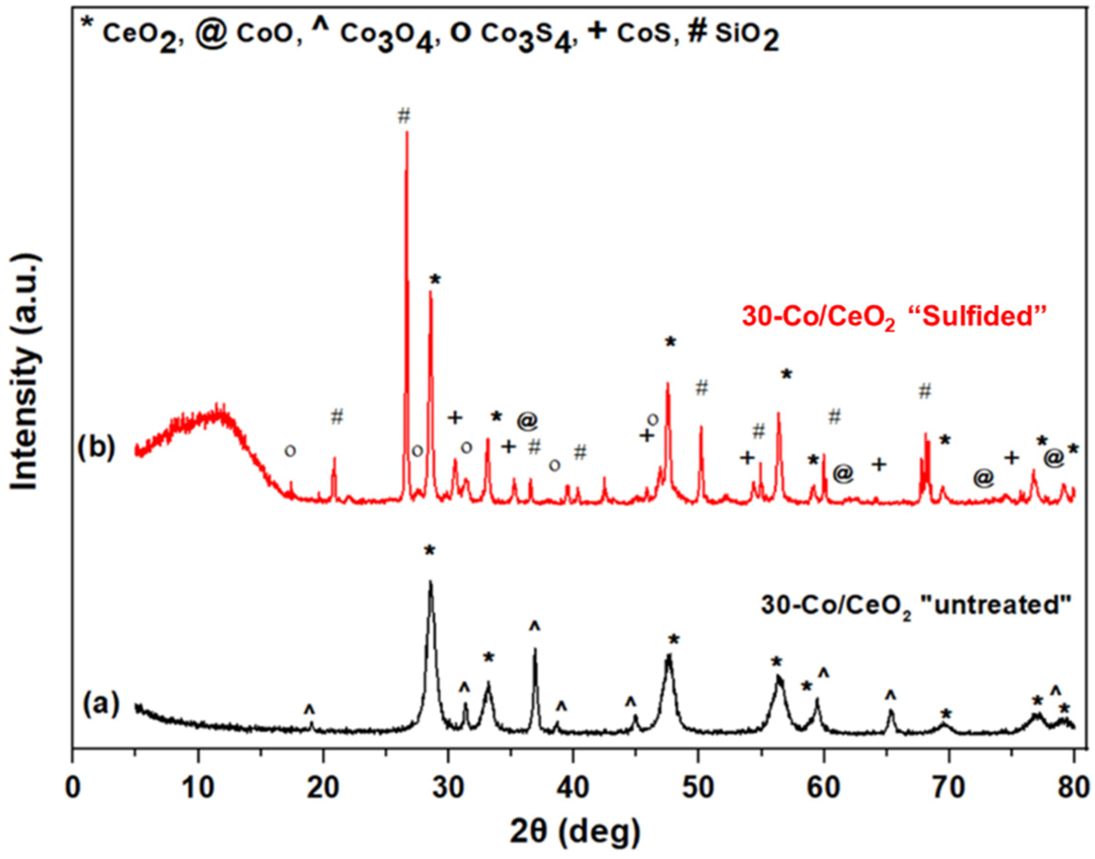 Catalysts 13 00504 g008
