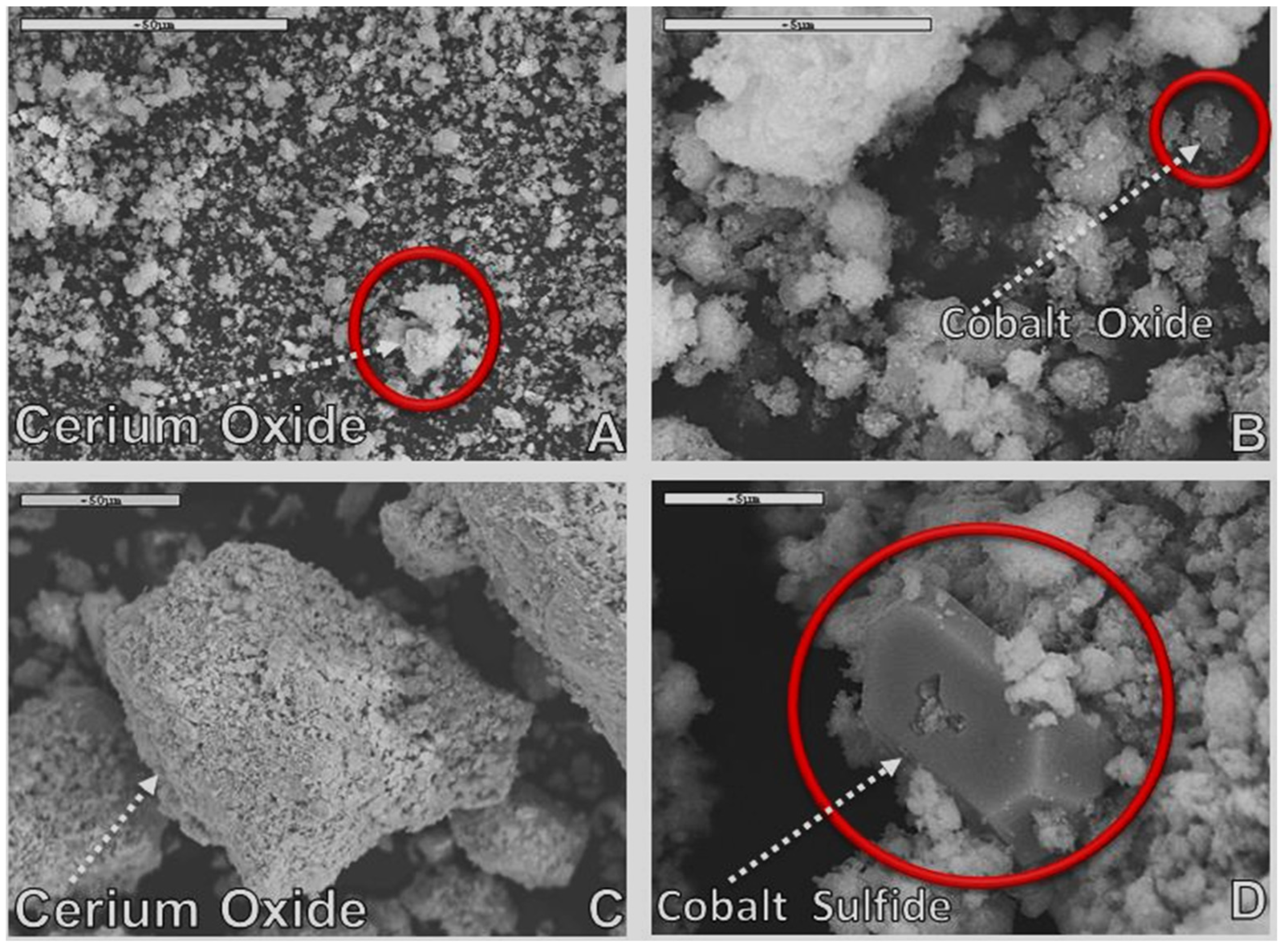 Catalysts 13 00504 g009