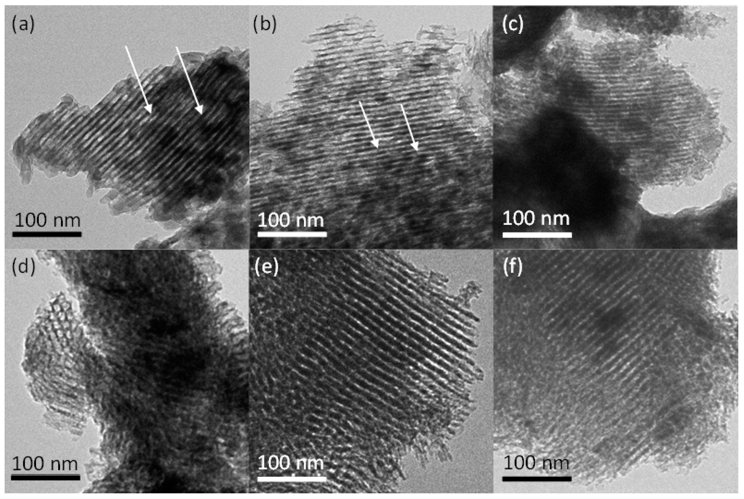 Catalysts 13 00505 g003
