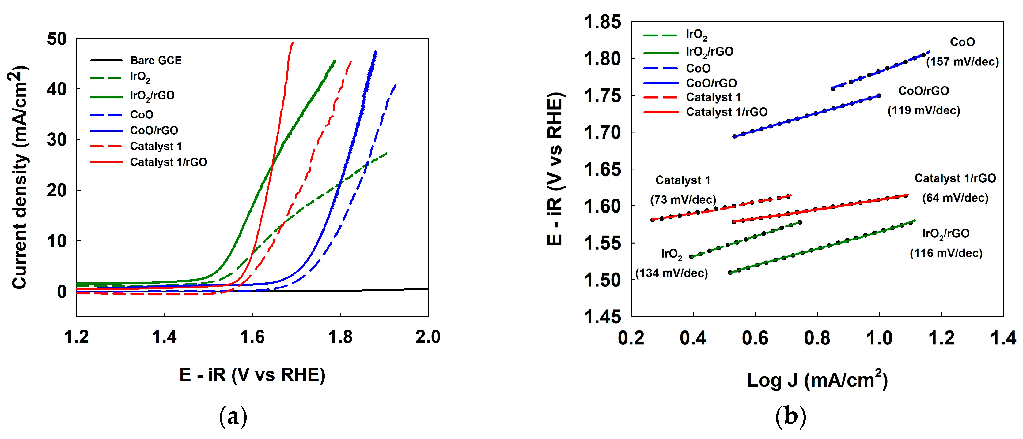 Catalysts 13 00507 g002