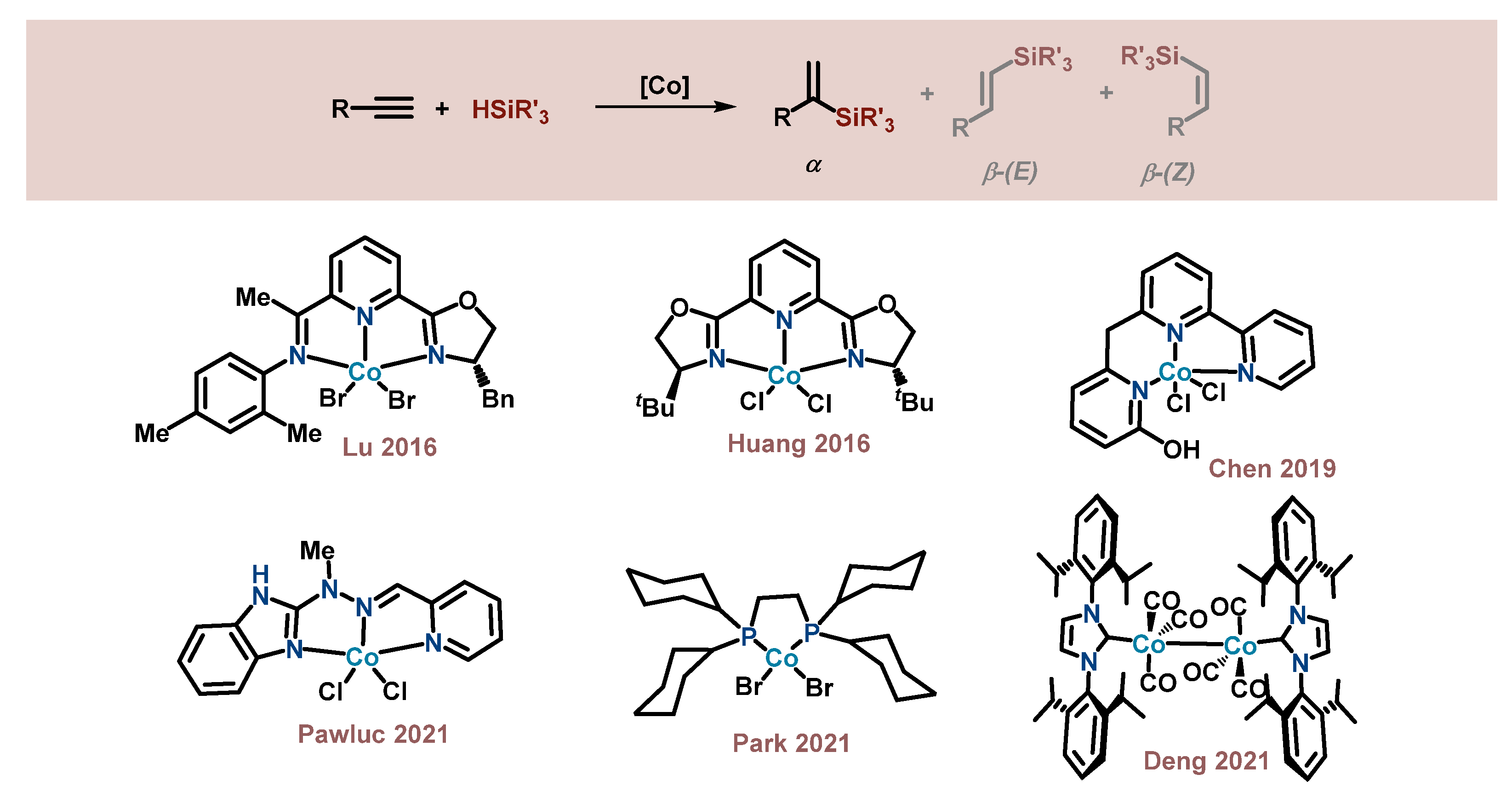 Catalysts 13 00510 g001
