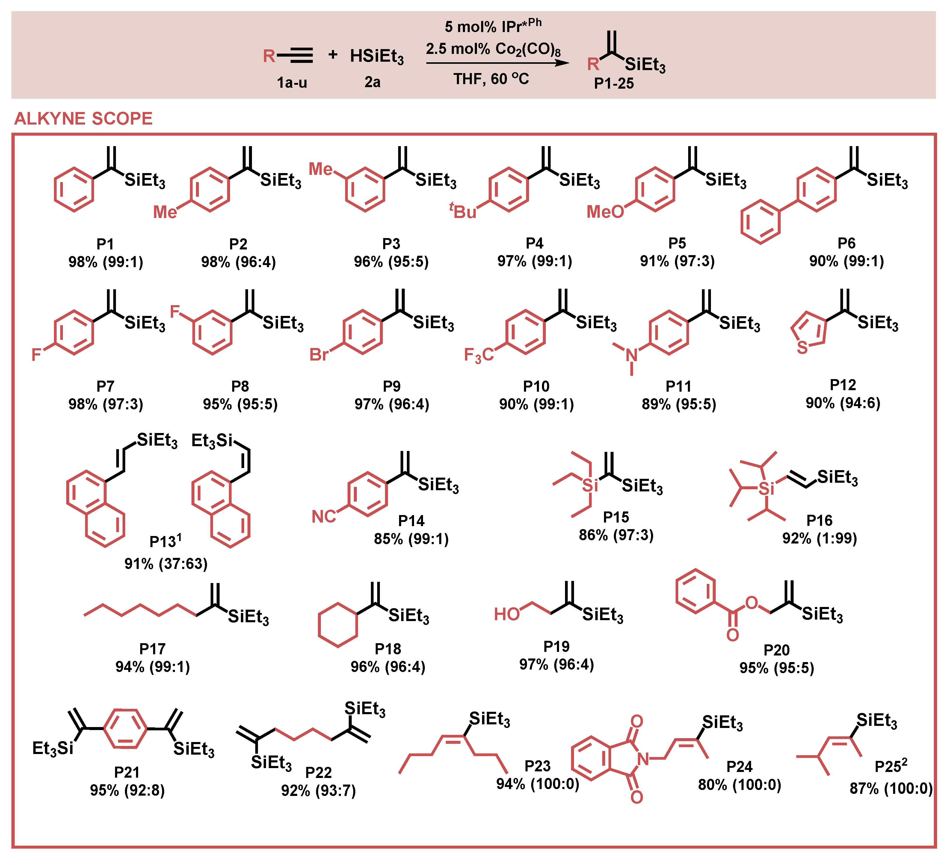 Catalysts 13 00510 g002