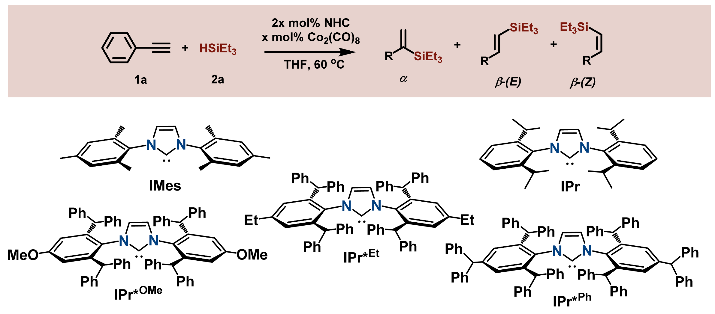 Catalysts 13 00510 i001