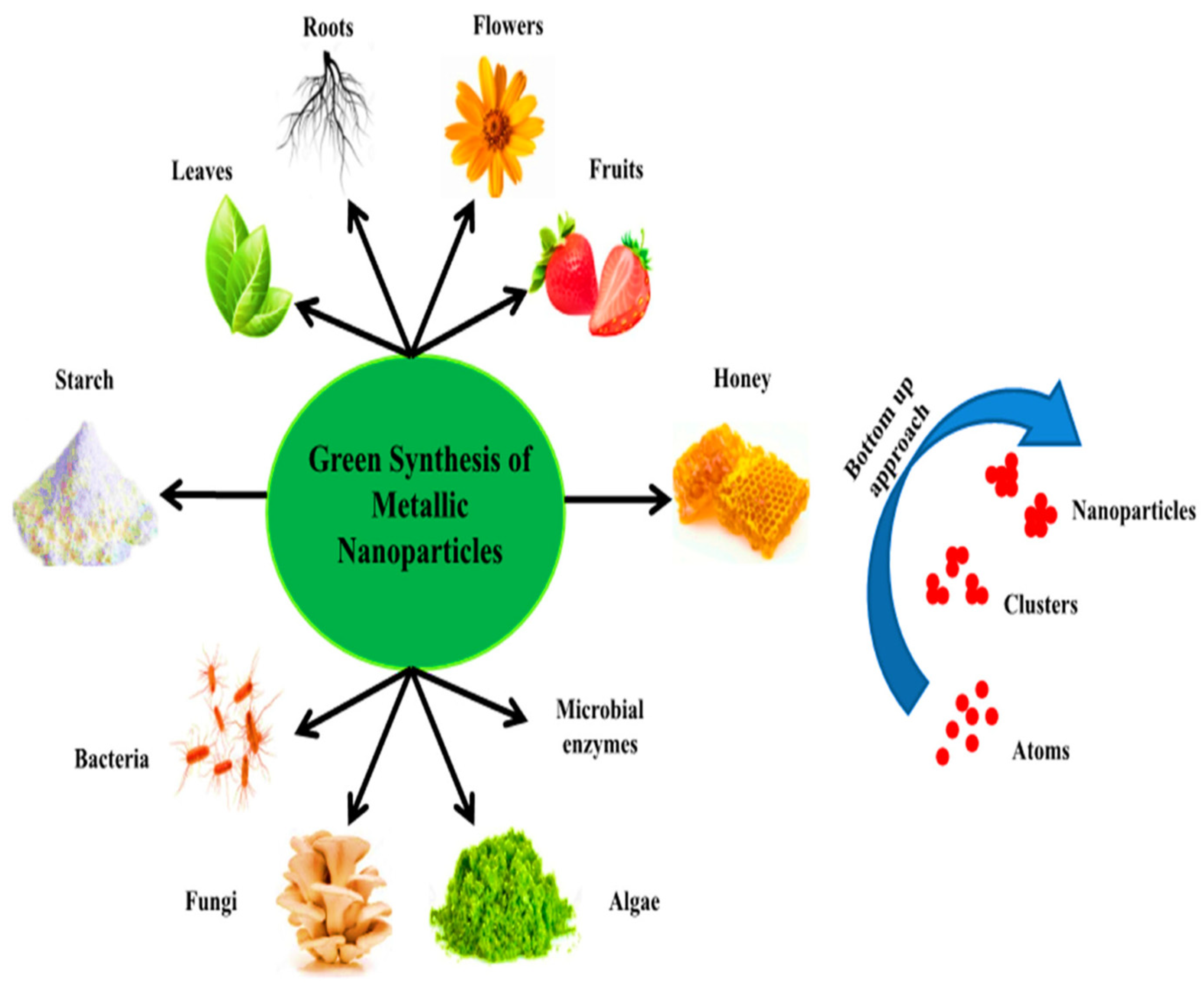 Catalysts 13 00511 g003