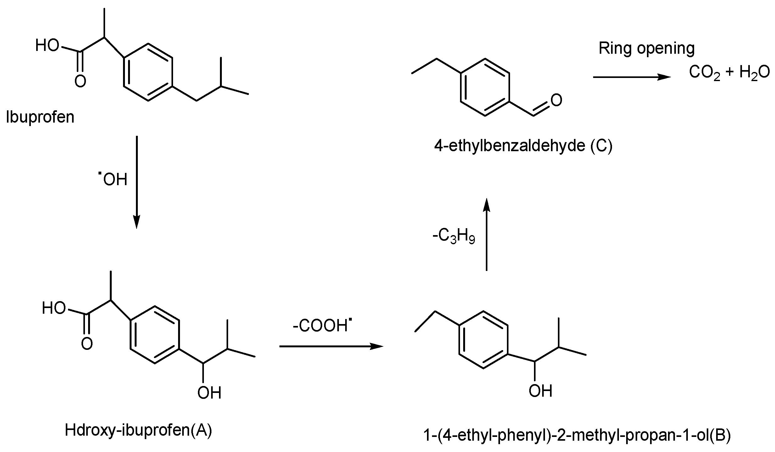 Catalysts 13 00511 sch002