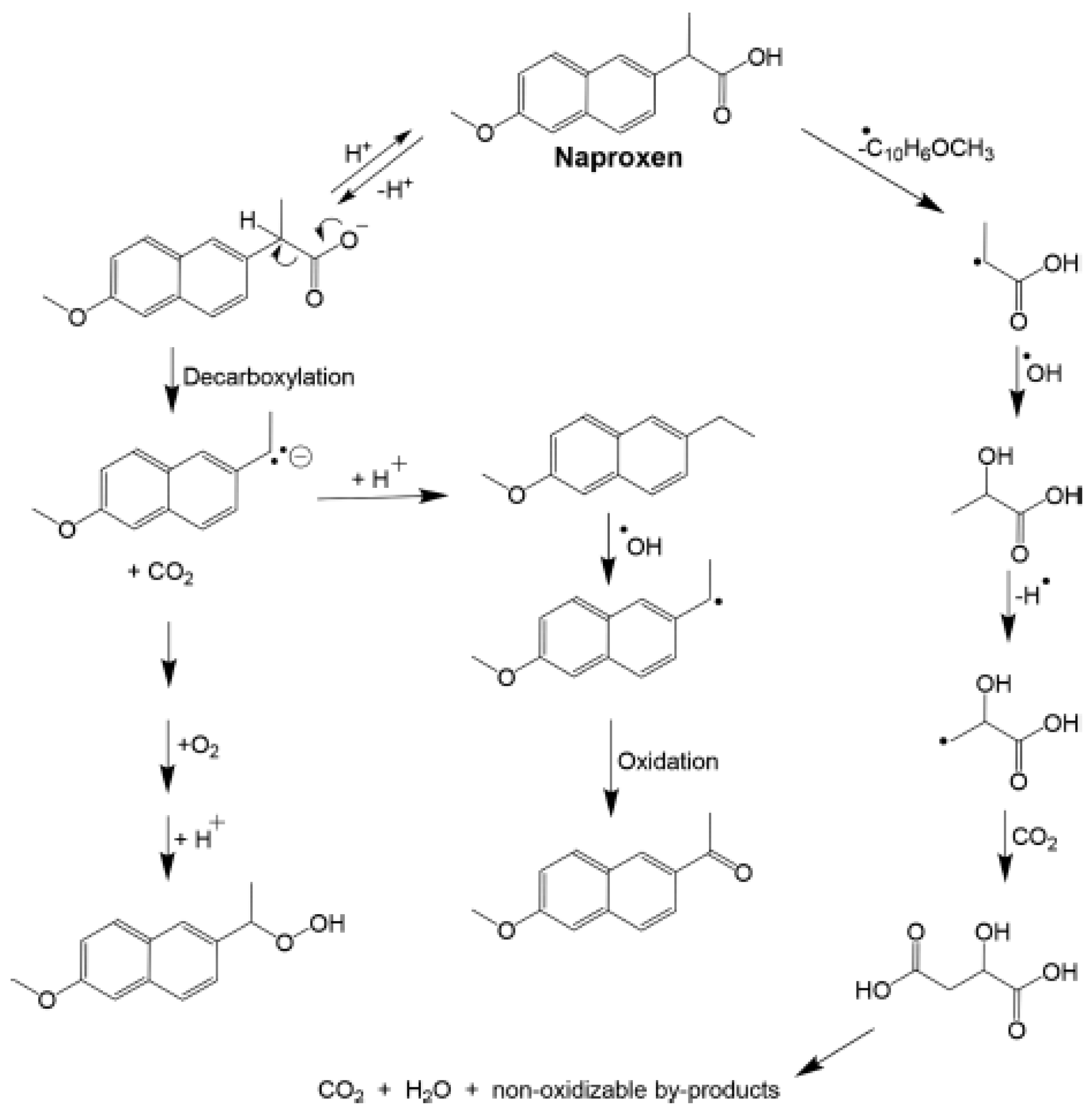 Catalysts 13 00511 sch003