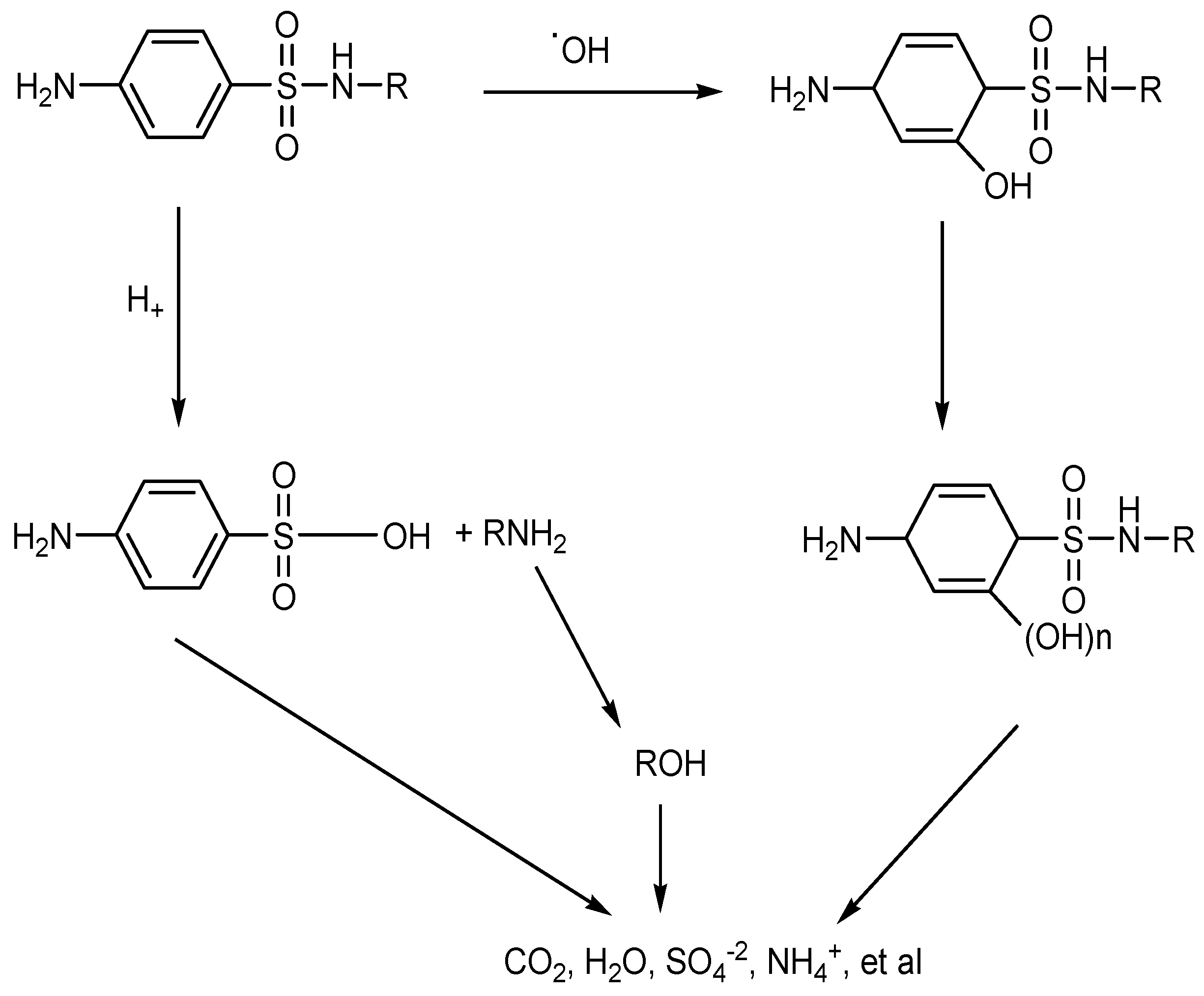 Catalysts 13 00511 sch004