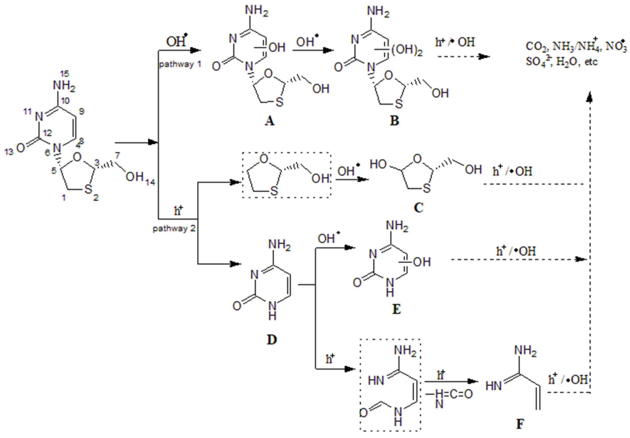 Catalysts 13 00511 sch005