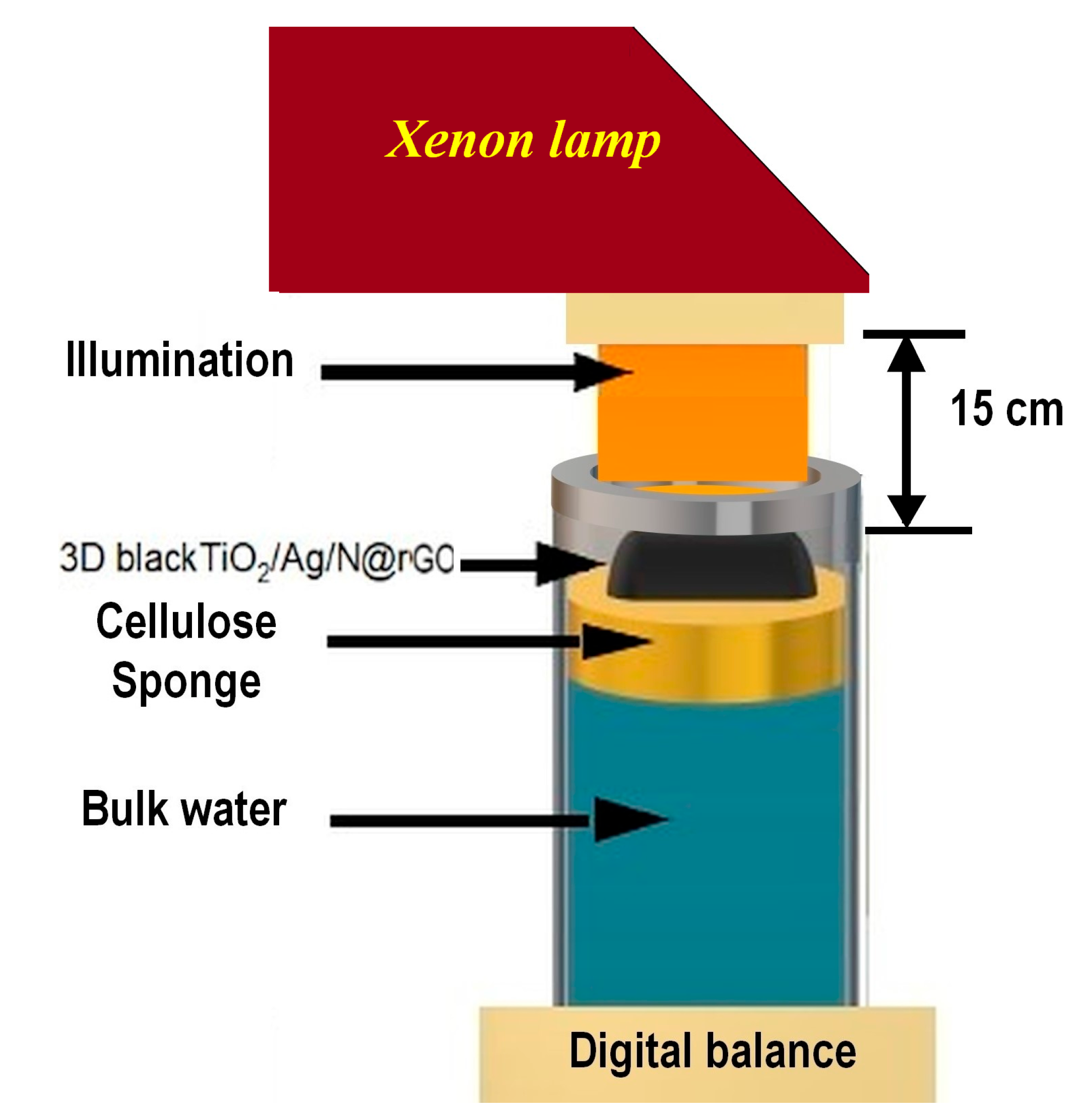 Catalysts 13 00514 g002