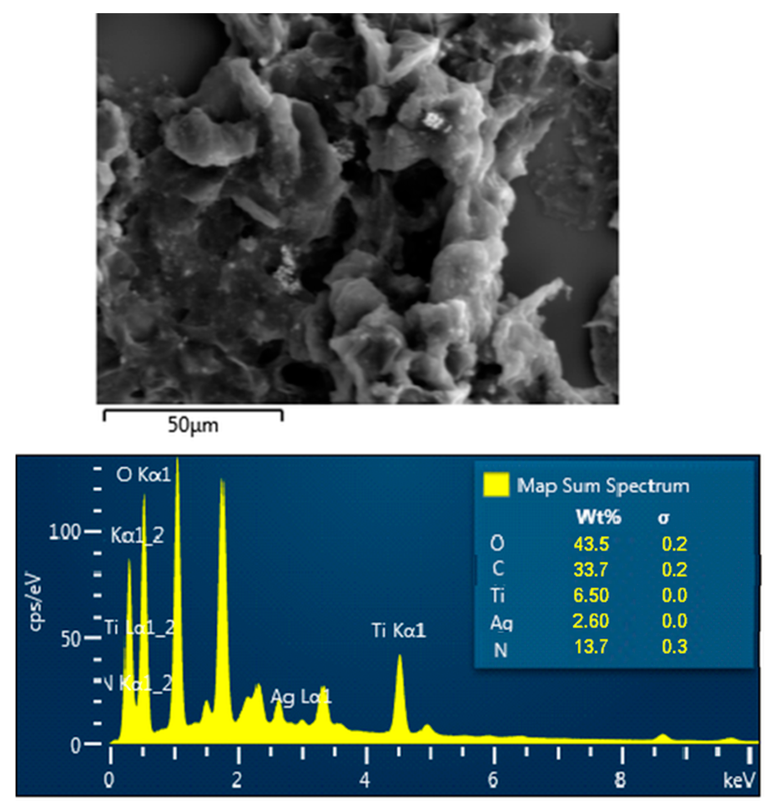 Catalysts 13 00514 g004