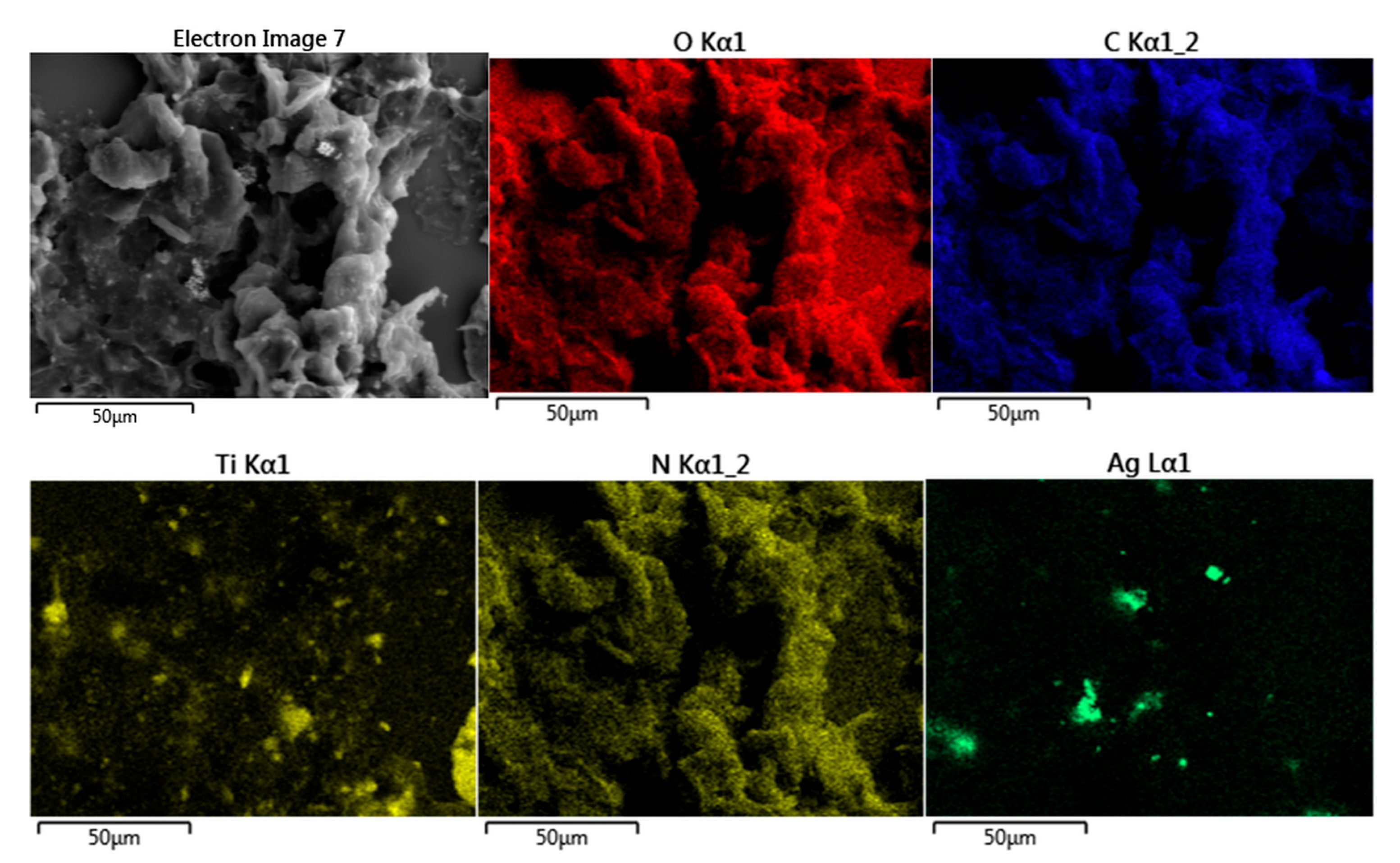 Catalysts 13 00514 g005
