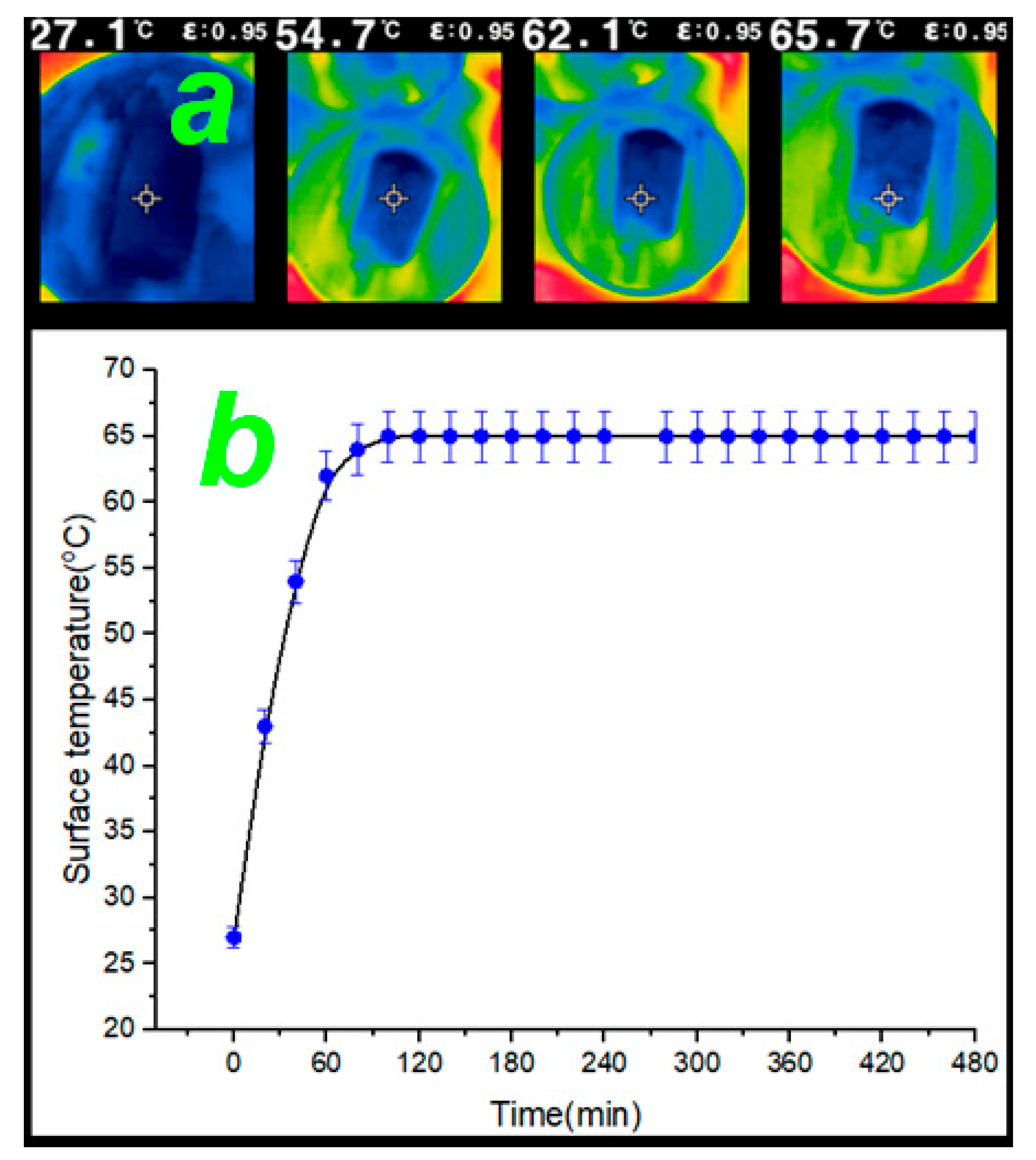 Catalysts 13 00514 g012