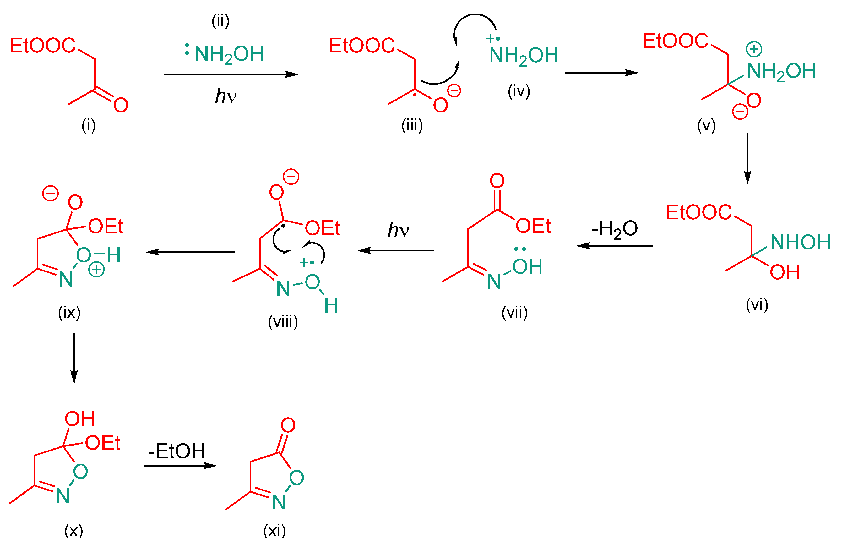 Catalysts 13 00518 sch003
