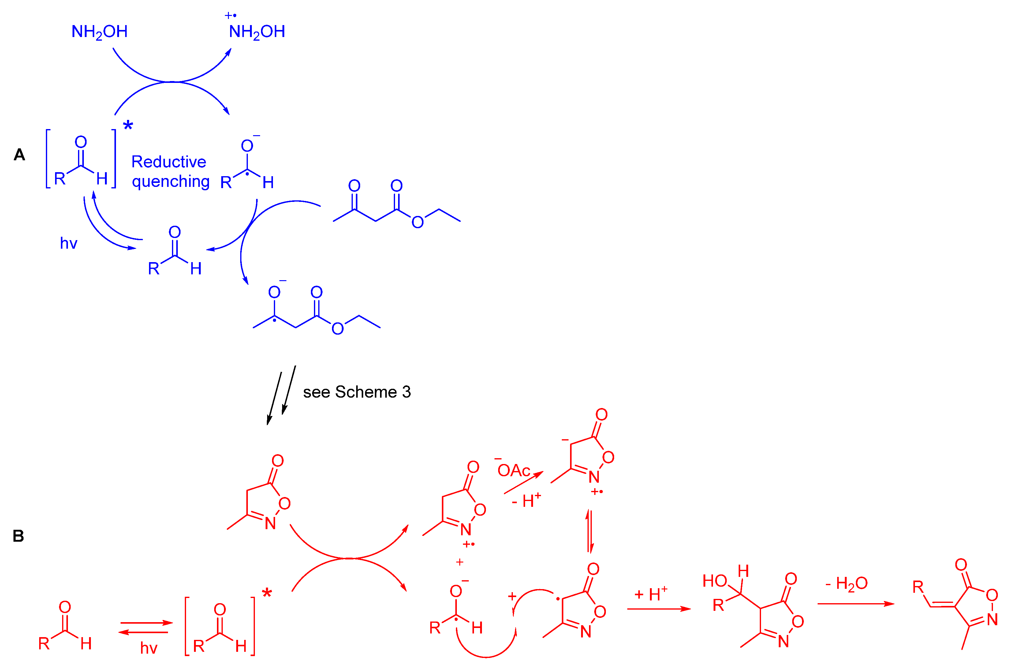 Catalysts 13 00518 sch004