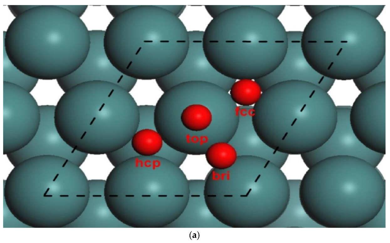 Catalysts 13 00519 g021a