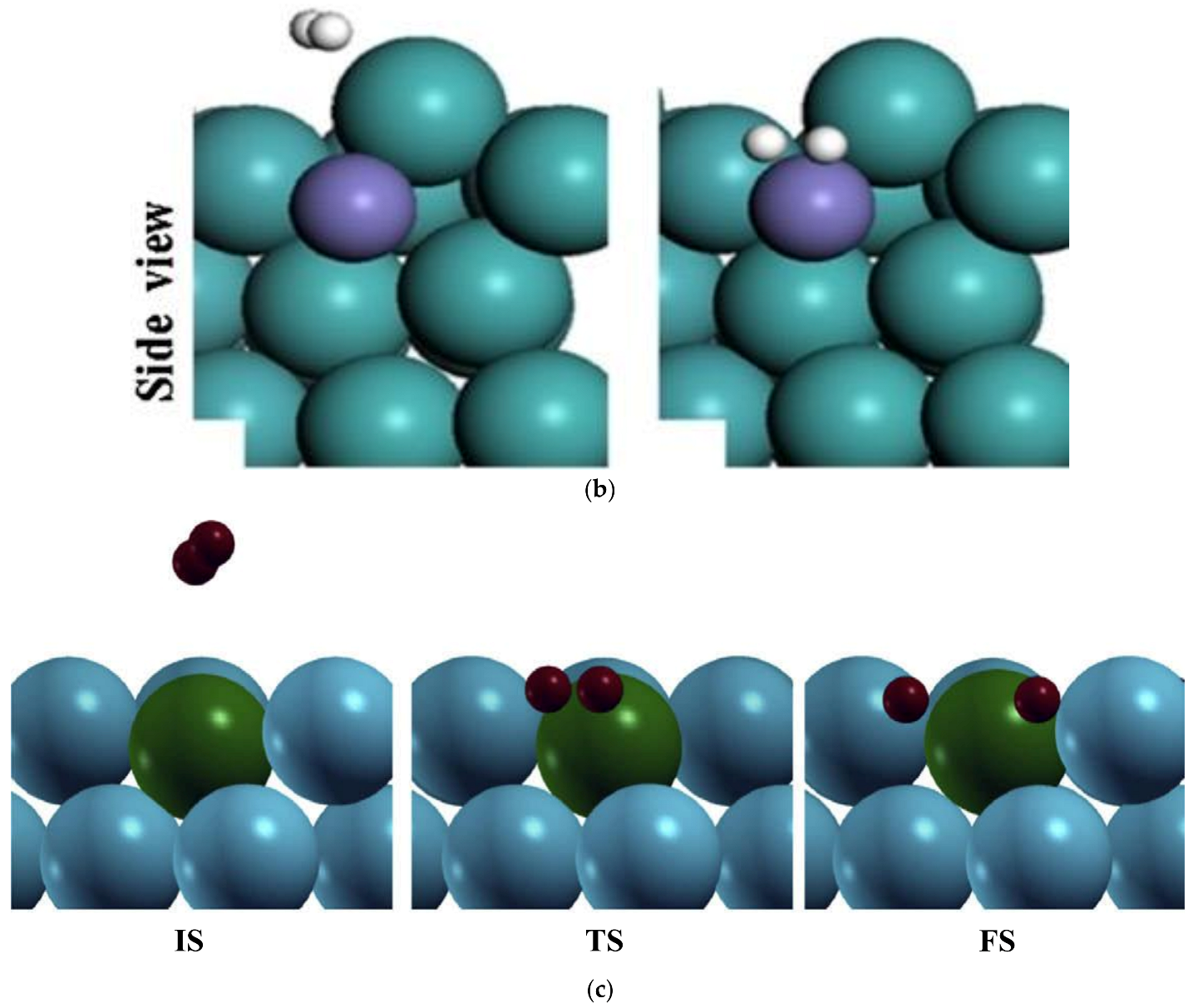Catalysts 13 00519 g021b