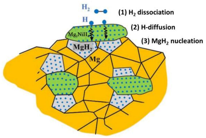 Catalysts 13 00519 g028