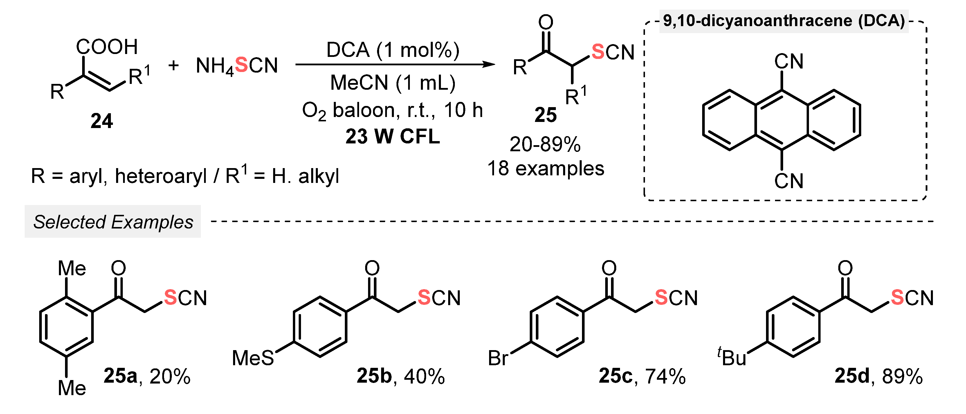Catalysts 13 00520 sch010