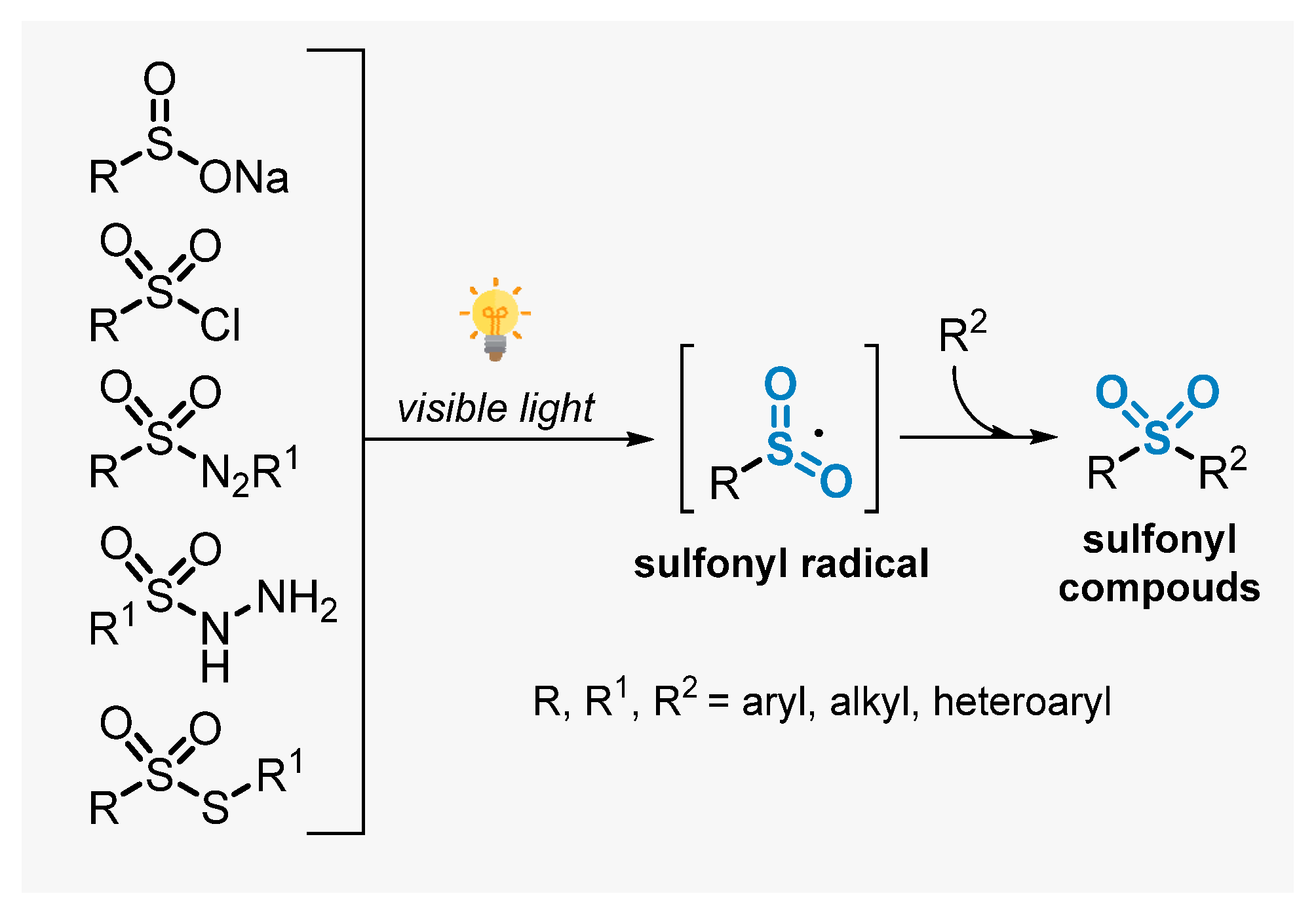 Catalysts 13 00520 sch011
