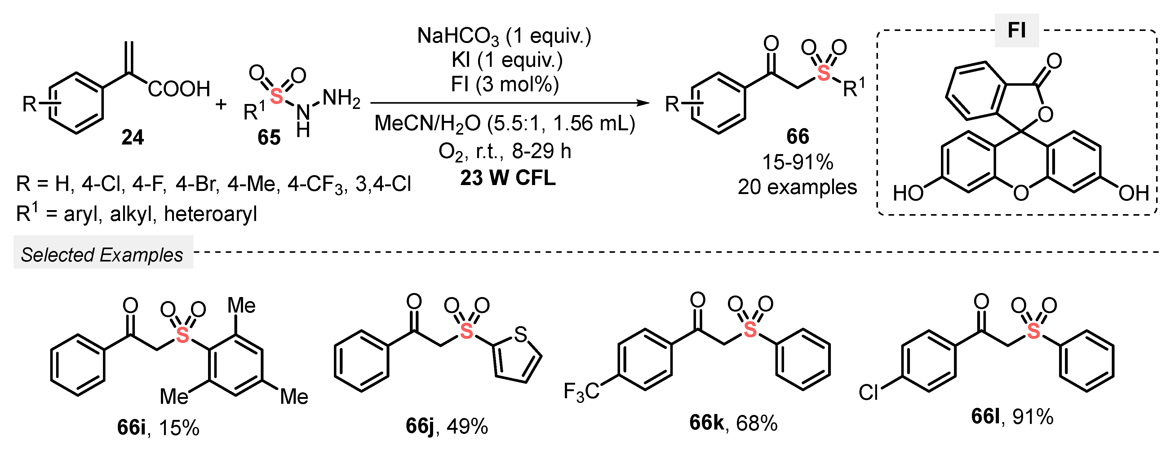 Catalysts 13 00520 sch034