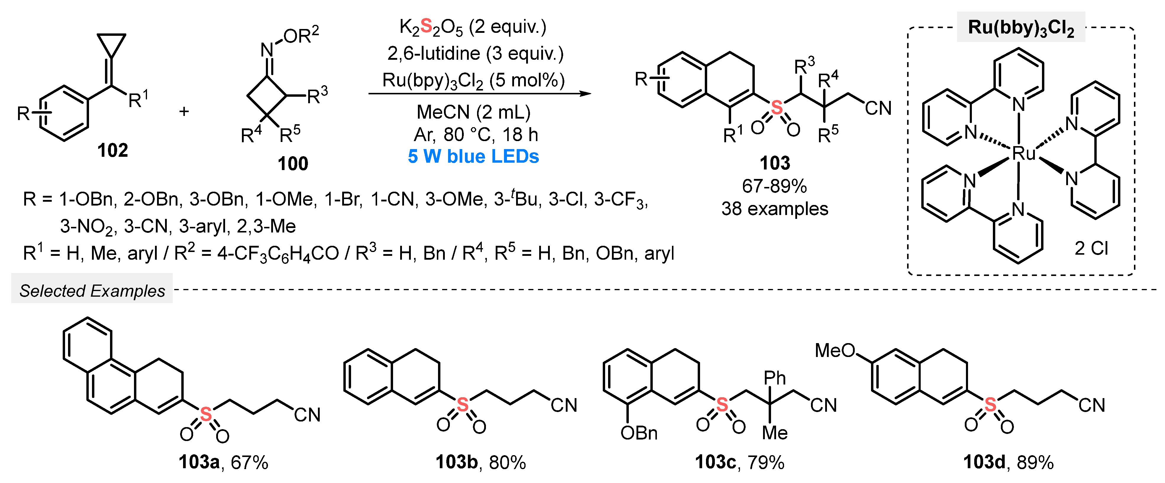 Catalysts 13 00520 sch055