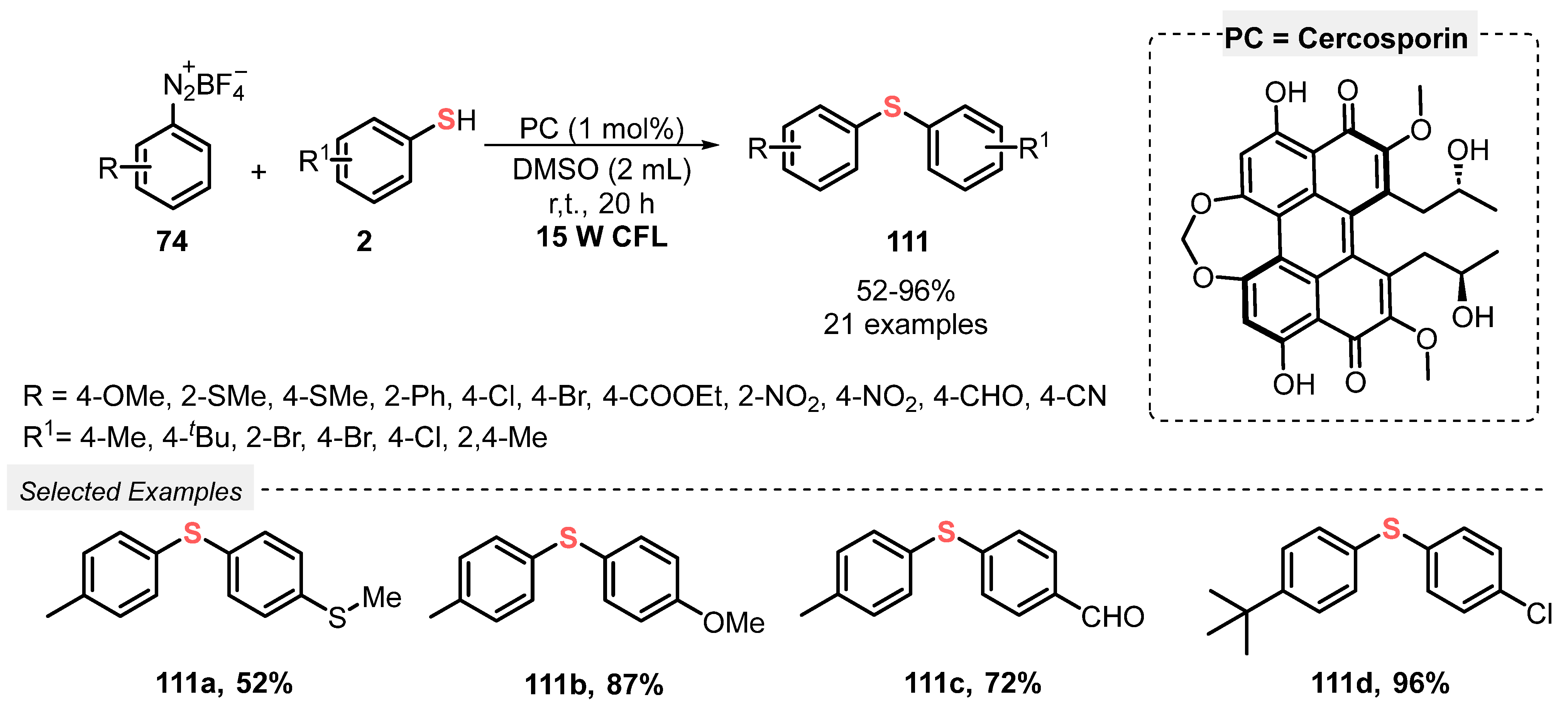 Catalysts 13 00520 sch062